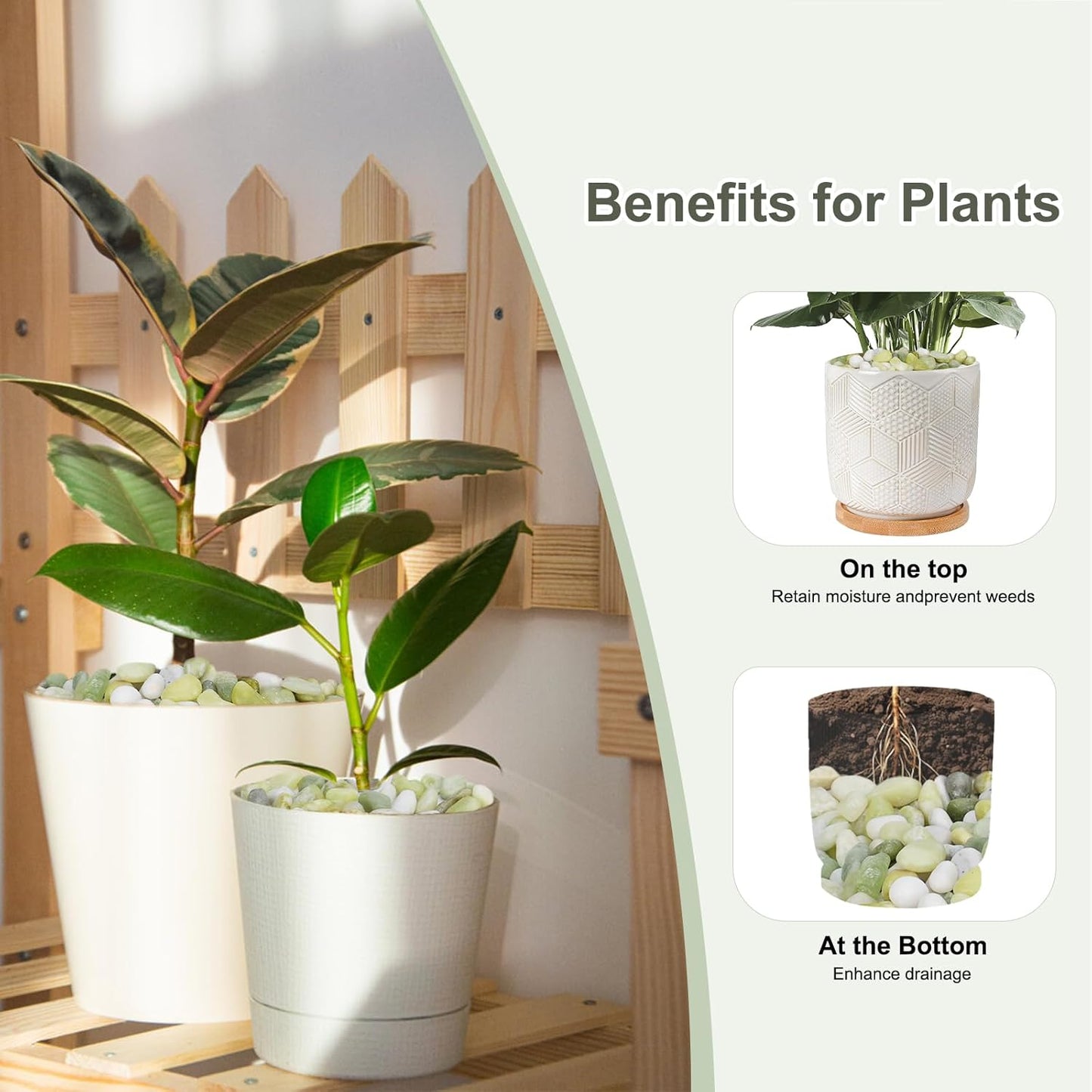 2.5 lbs Jade Pebbles for Indoor Plants, Decorative Pebbles for Bamboo, Vase, 3/8" Plant Gravel for Pots Indoor, Highly Polished Small River Rocks