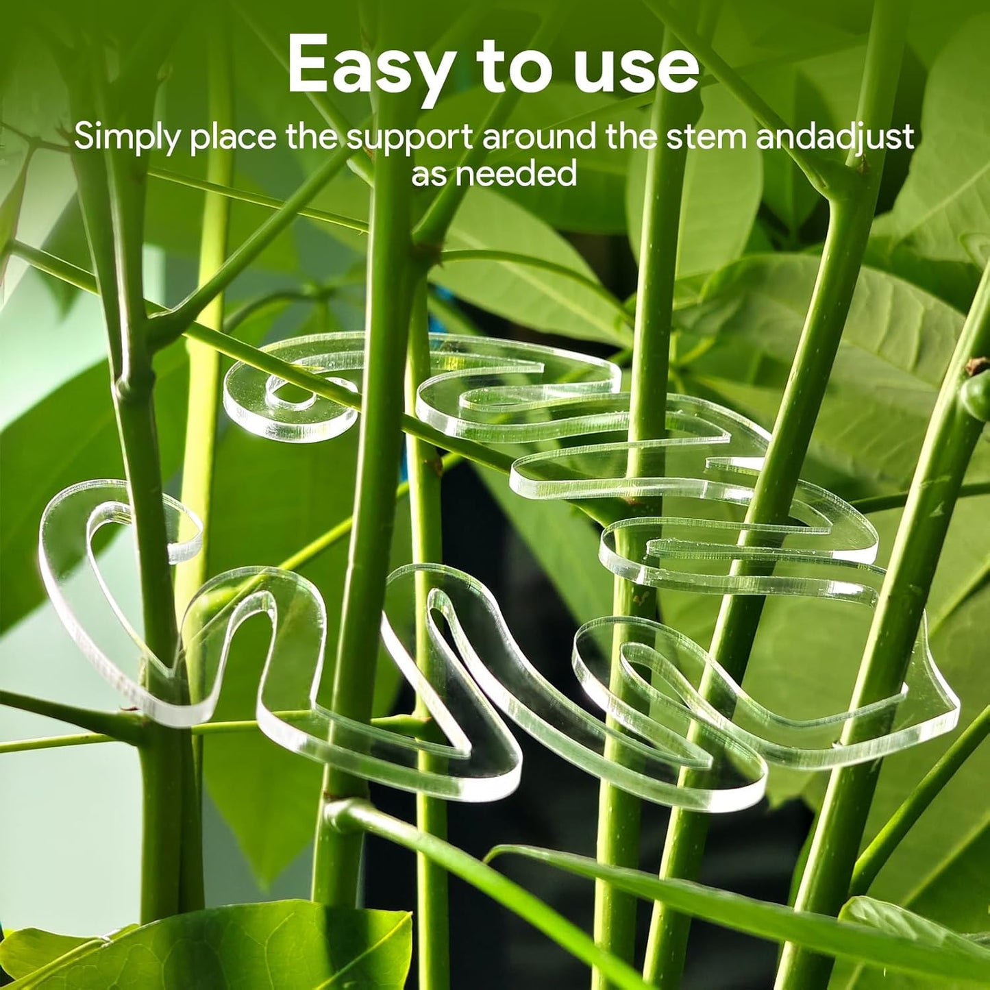 2 Pack Plant Stem Support,Plant Stem Holder, Plastic Monstera Plant Support, Climbing Houseplant Stem Supports Stakes