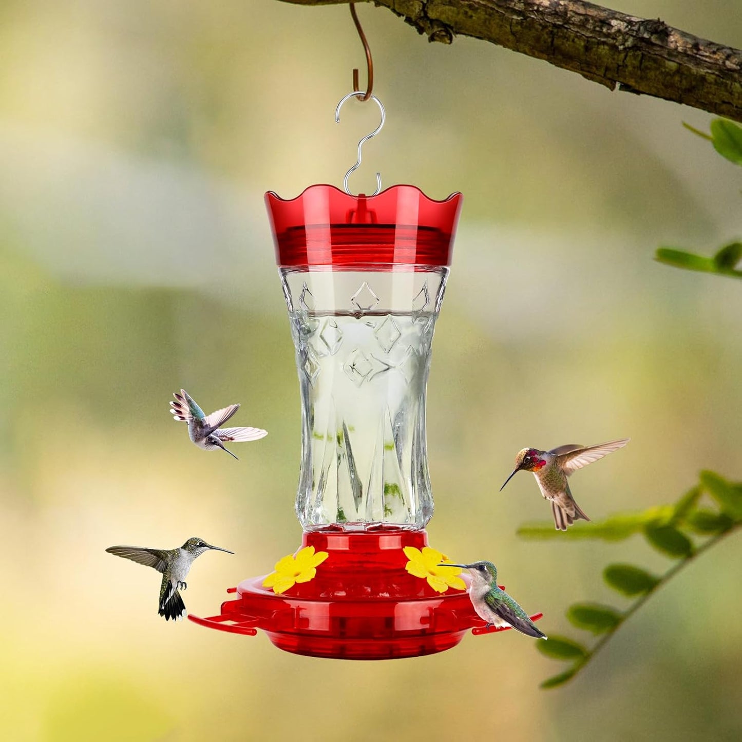 BOLITE Glass Hummingbird Feeders for Outdoors Hanging, Built-in Ant Moat, 4 Bee Guard Feeding Ports with Perches, Leak Proof, 15 Ounces, Stars Decor, Red, Gifts for Women Men, Gifts for Mom Dad