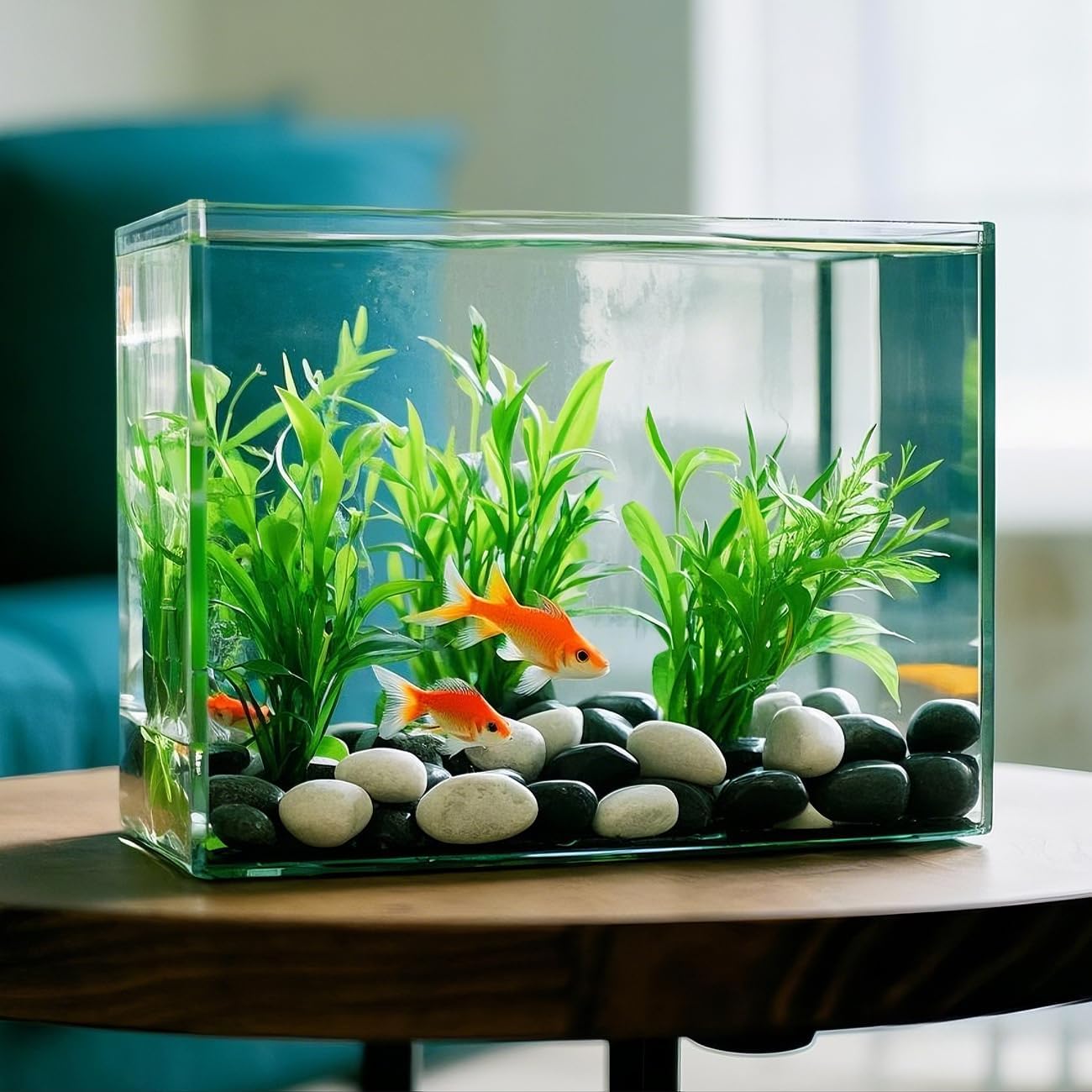 1 Pack 5 Lbs Random Color River Rocks for Plants,0.8-1.5 Inch Decorative Ornamental Pebbels, High Polished Stones for Garden Landscaping, Smooth Gravel Filler, Succulents, Fish Tank, White/Yellow