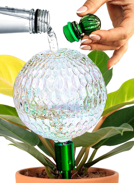 16 Oz Plant Watering Globes for Indoor Plants with Metal Self Watering Planter Insert - Premium XL Glass Hand-Blown Globe - Automatic Plant Waterer Indoor, Gift Idea for Gardeners [1 Globe, Textured]