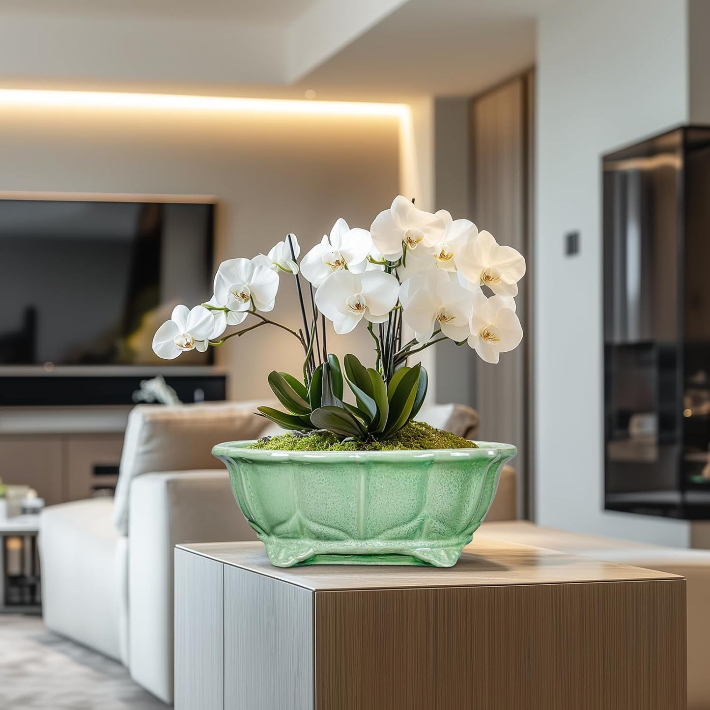 Bonsai Tree Pot - 13.2 Inch Large Ceramic Succulent Planter for Indoor Outdoor, Oval Plant Pot with Drainage Hole, Decorative Flower Pots, Home Decor, Gifts for Plant Lovers, Green