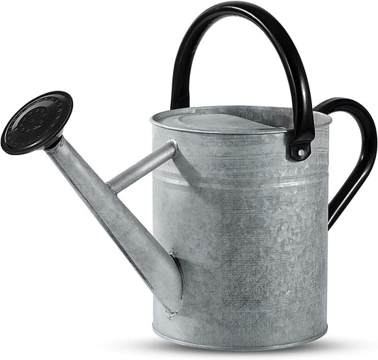 1 Gallon Watering Can for Plants, Watering Cans for Indoor&Outdoor Gardening, Galvanized Steel Watering Pot with Removable Spout, Metal Water Can with Ergonomic Movable Handle(Rustic Silver)
