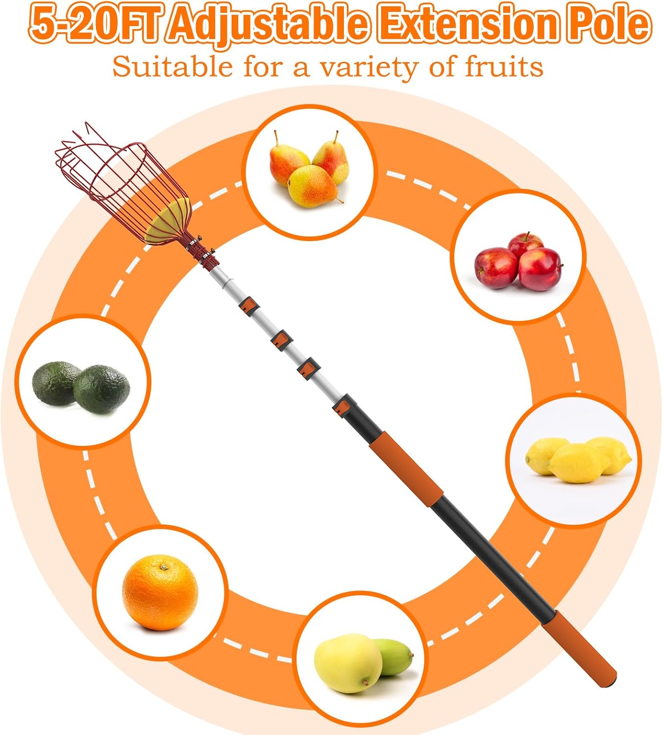 SISIUPASSIE 26FT Reach Fruit Picker, Apple Picker Pole with Basket Telescoping Tool for Apple Lemon Orange Mango Avocado Fruit Tree Picking