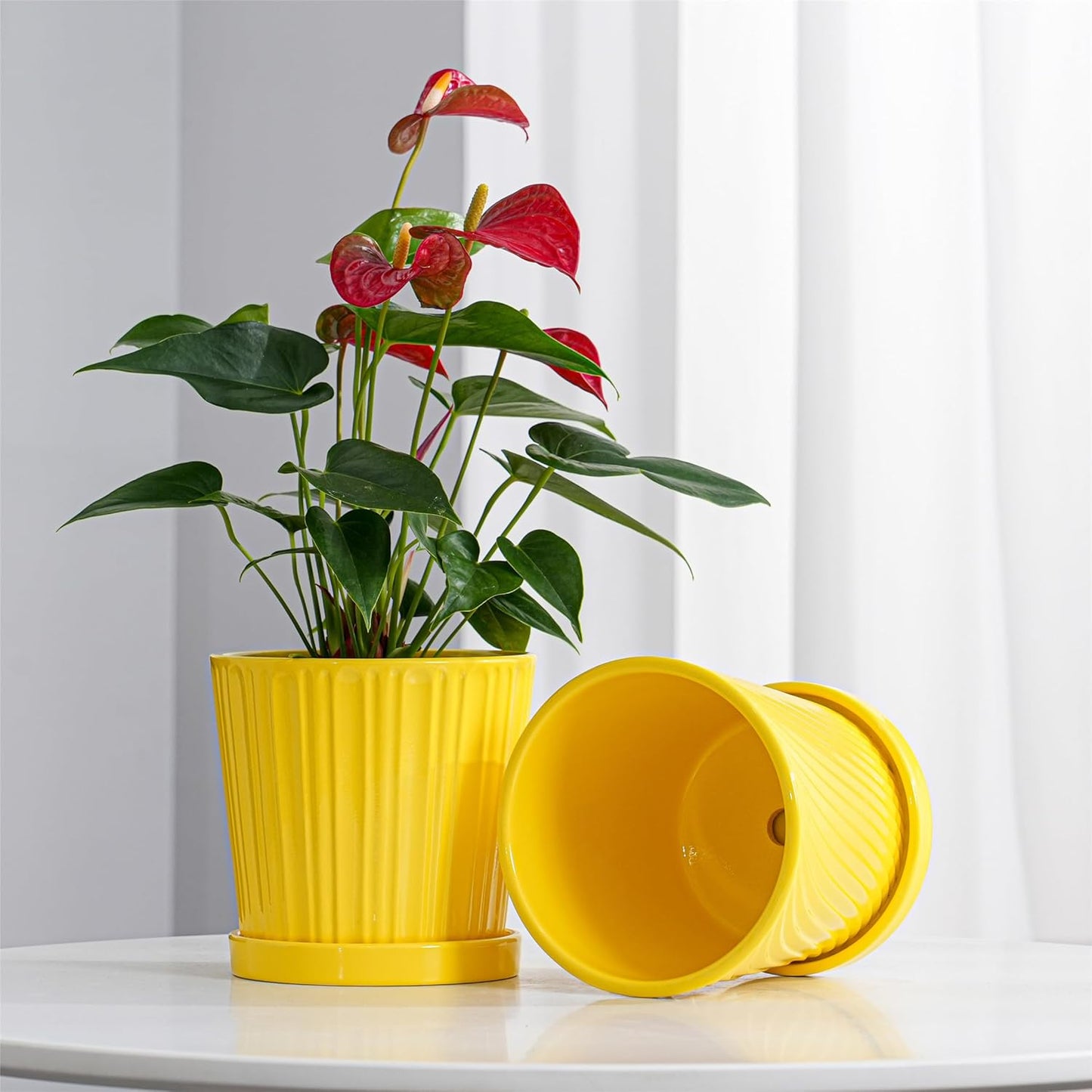 Ton Sin Plant Pots, 6 Inch Flower Pots for Plants,Ceramic Planter with Drainage Holes,Indoor Planter Pots with Saucer,Outdoor Garden Pots (Yellow, 4 Pack)