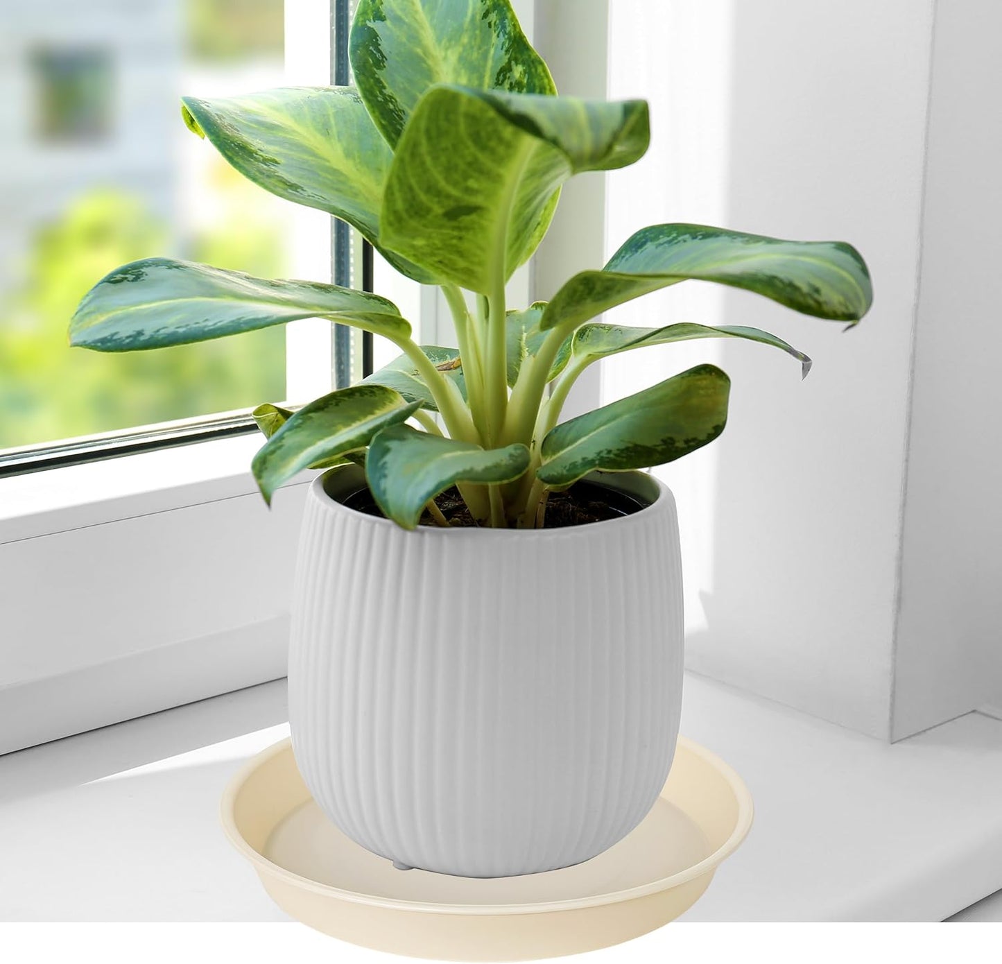 6 Pack Plant Saucer Water Drip Tray, 4 5 6 7 8 9 10 11 12 13 15 17 19 inch, Heavy Sturdy Plant Drainage Tray for Indoors Outdoor, Flower Saucers for Pots Base (4", Beige)