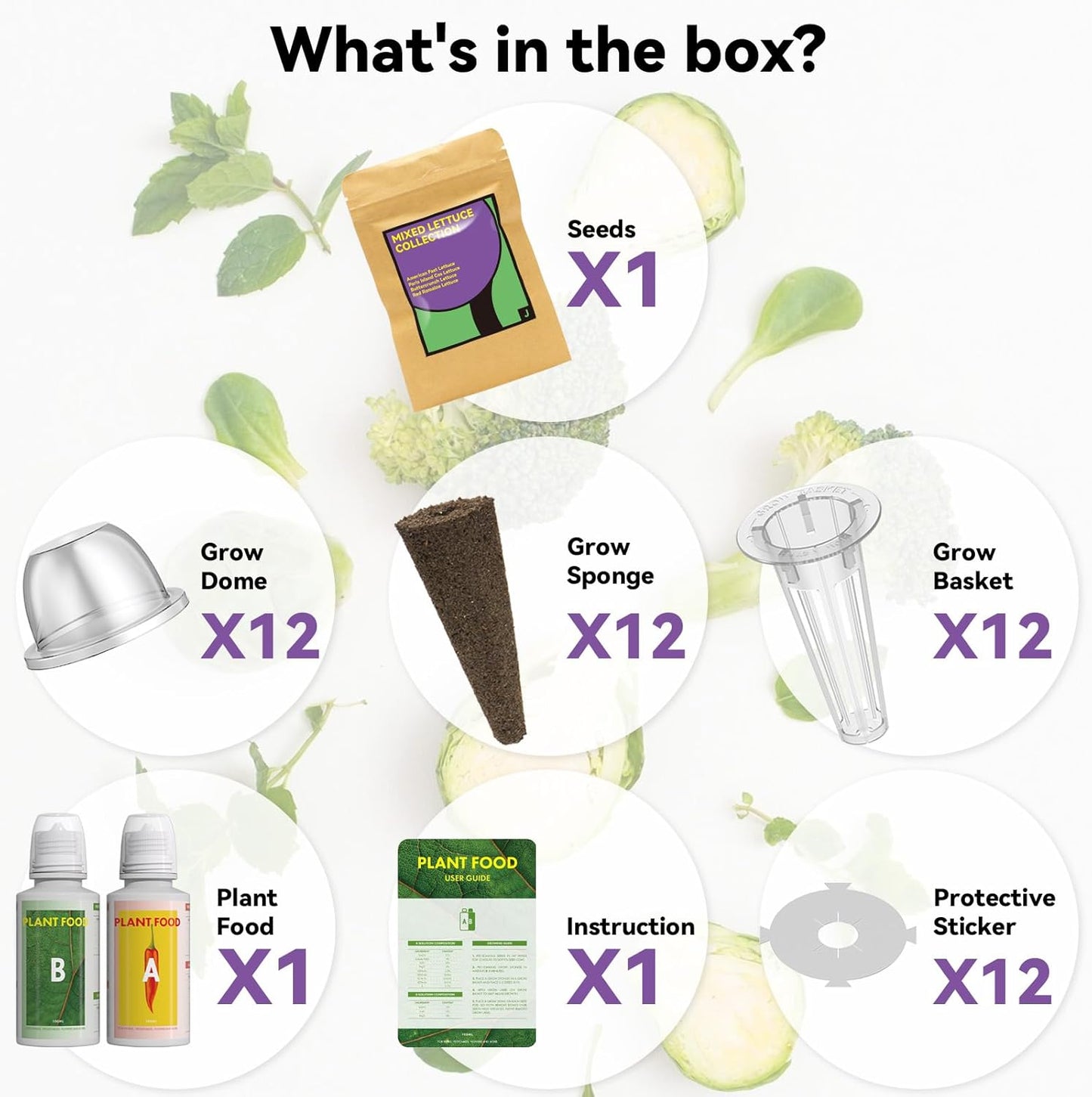 inbloom Salad Romaine Lettuce Seed Pod Kit for AeroGarden, Ahopegarden Hydroponics Growing System, 12-Pods (350+ Seeds, Include American Fast Lettuce, Parris Island Lettuce, Butter Lettuce)