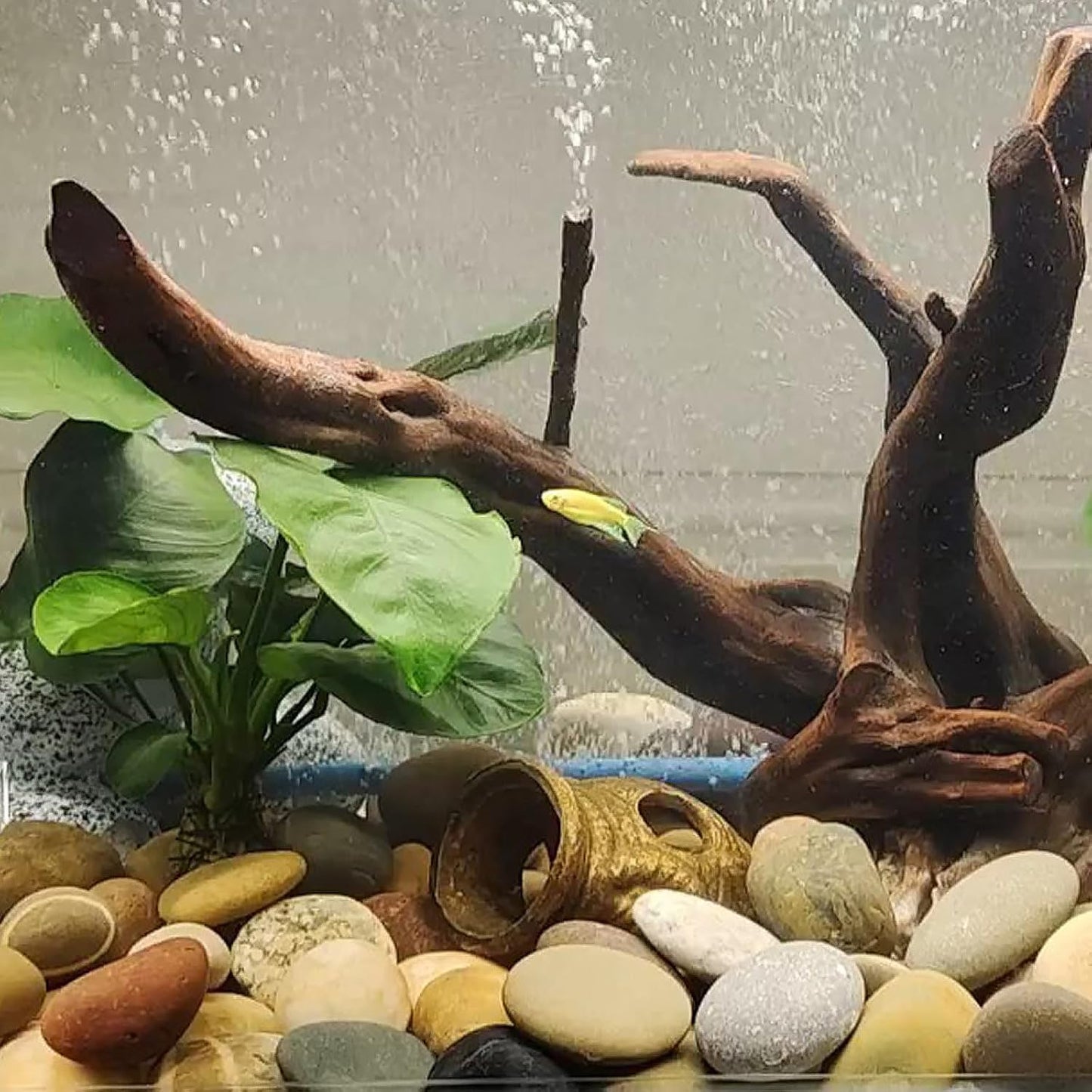 10 Pounds Large River Rocks, 3-4 Inch Natural Pebbles for Landscaping, Garden, Aquarium, Backyard and Indoor Water Fountains