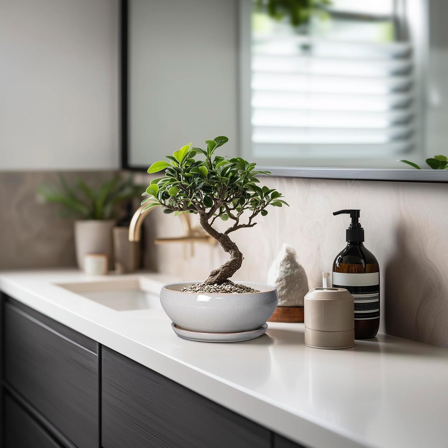 SQOWL Succulent Planters 6 Inch - Ceramic Bonsai Pots with Drainage Hole and Saucer, Shallow Planter for Indoor Plants Outdoor, Round Ceramic Pots for Plants Cactus, Room Decor, Garden Gifts, Gray