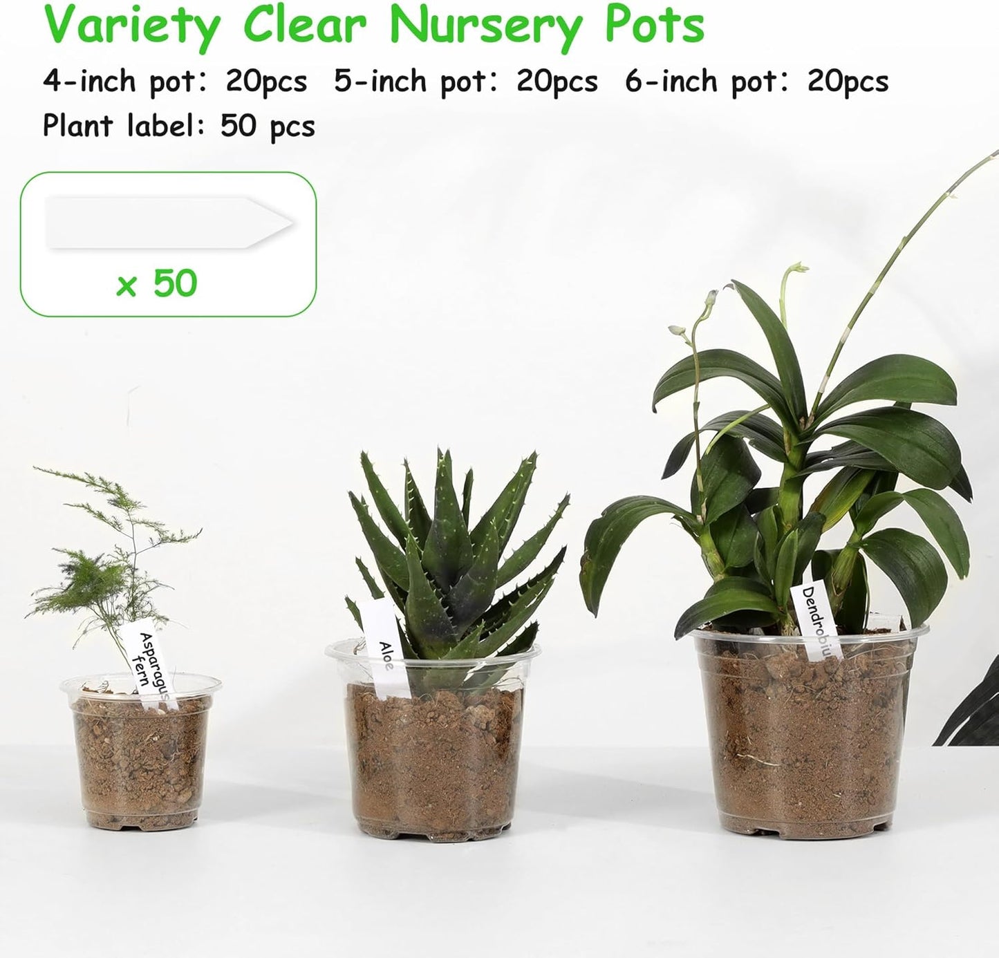 60 Pack 4/5/6 Inch Clear Nursery Pots with Drainage Holes, Transparent Plastic Plant Pots, Reinforced Seed Starter Flower Pots, Comes with 50pcs Plant Labels