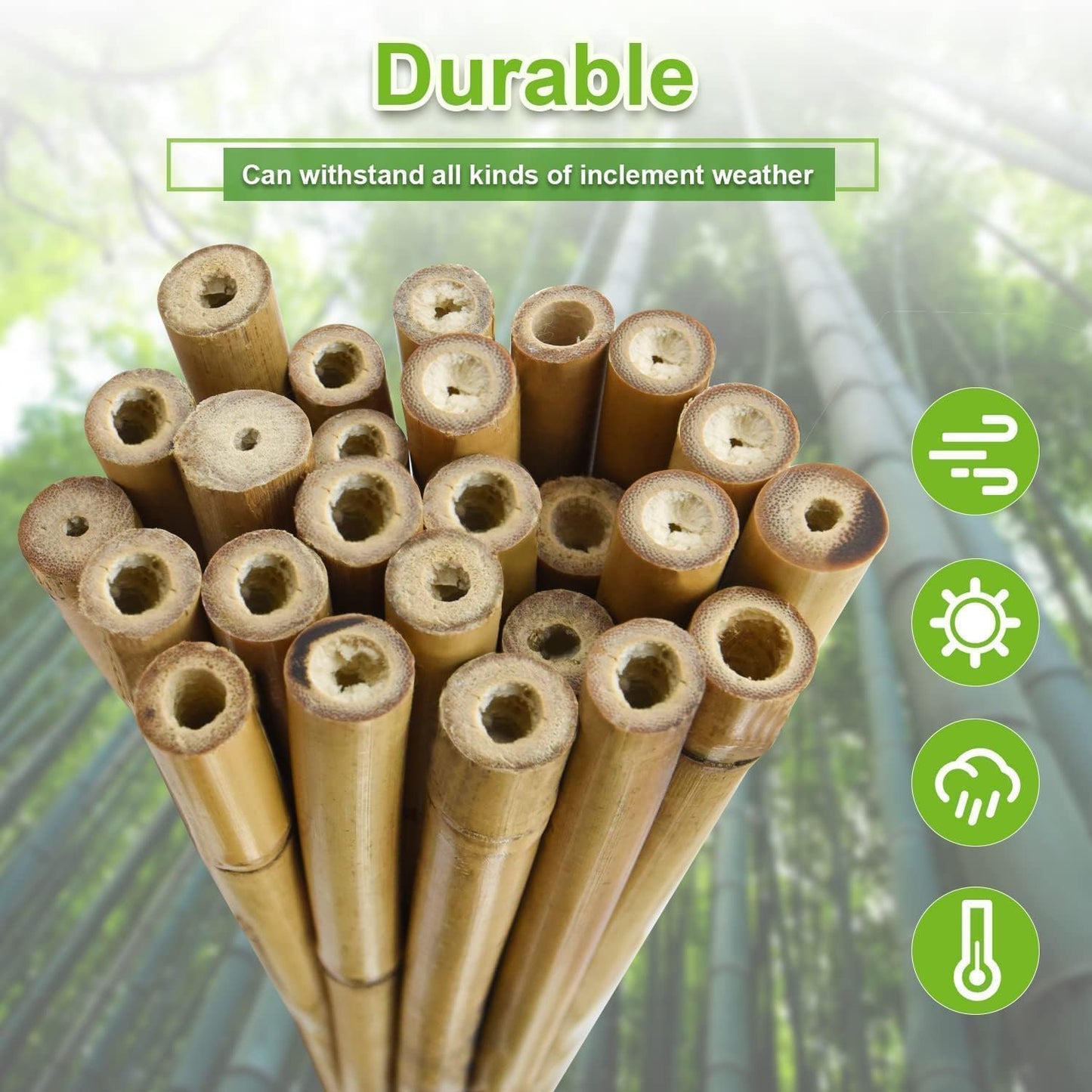 3/4" D 7 Feet Bamboo Stakes 50 Pack, Thicker Heavy-Duty Plant Stakes, Natural Garden Stakes for Bean, Tomato, Bean, Flowers,Trees Potted and Climbing Plant Support