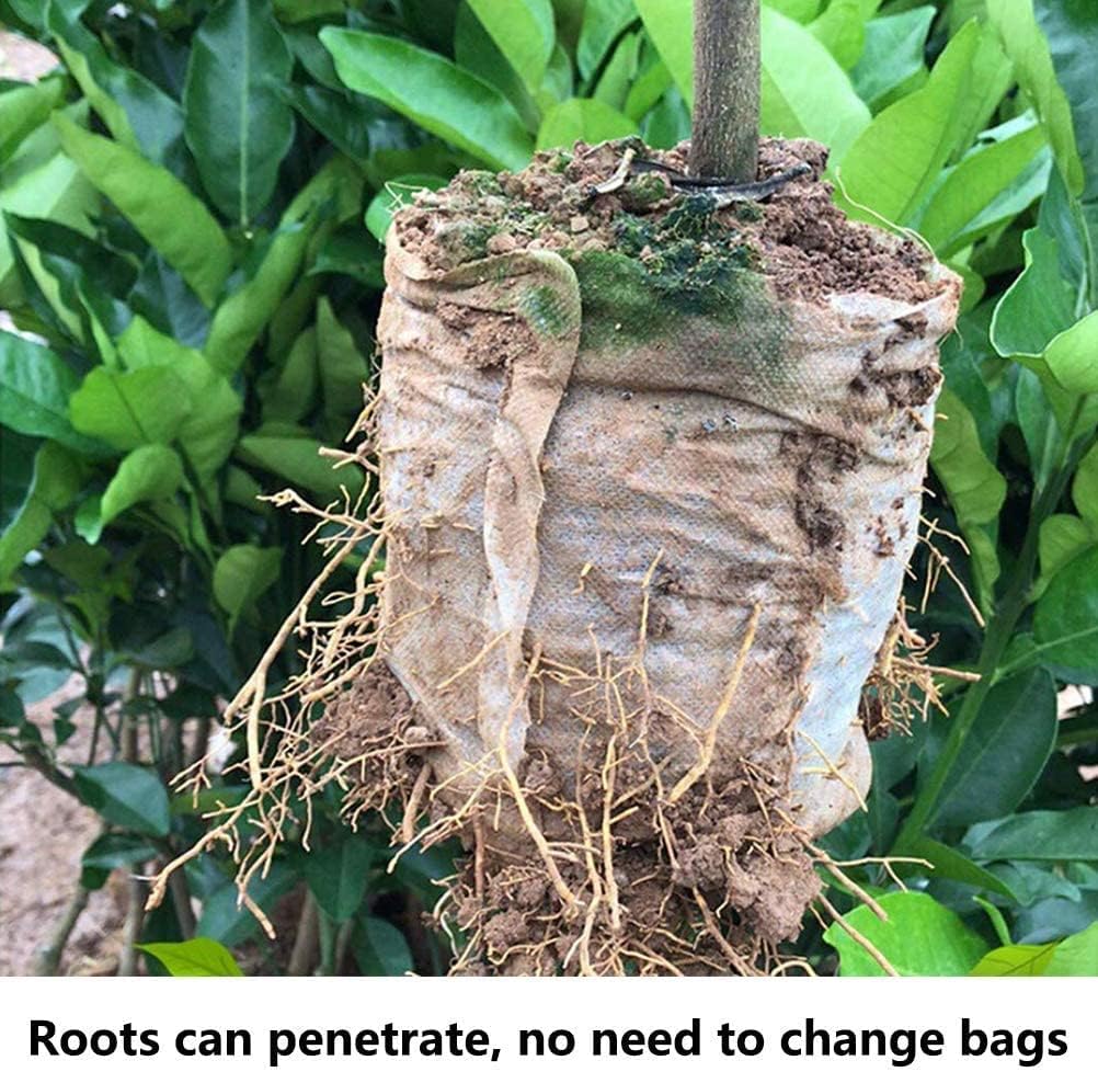 100Pcs Nursery Growing Bags,Non-Woven Fabric Seedlings Grow Bag for High Seedling Survival Rate,Plant Bags for Planting,Garden Seed Starters Pouch Small（4.2"x4.2"）