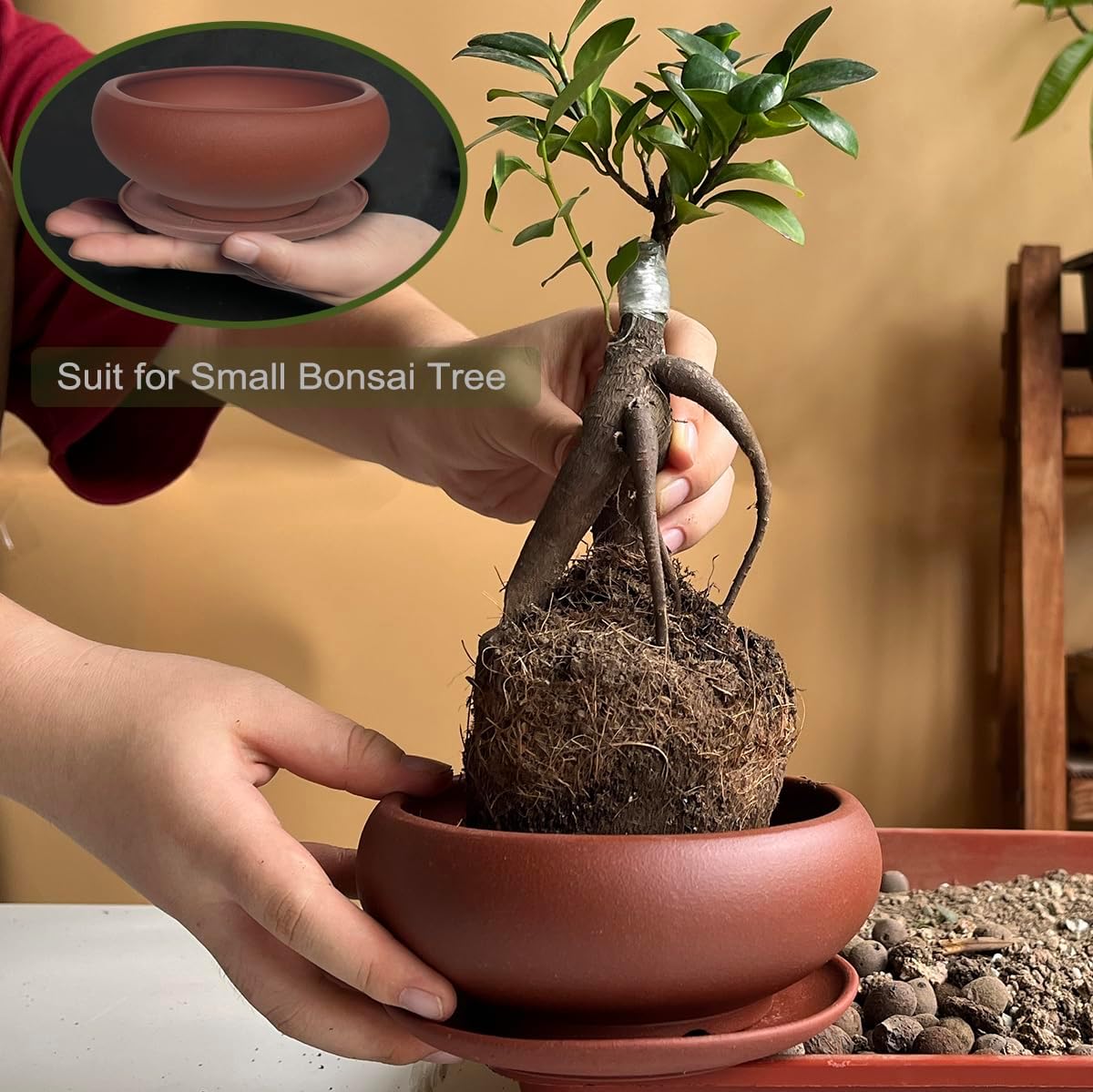 MUZHI 5.3” Round Ceramic Bonsai Starter Pots with Trays Set of 2 Brown and Red, Small Vintage Unglazed Succulent Pots with Saucers Minimalist Classic Mame Bonsai Planter with Drainage