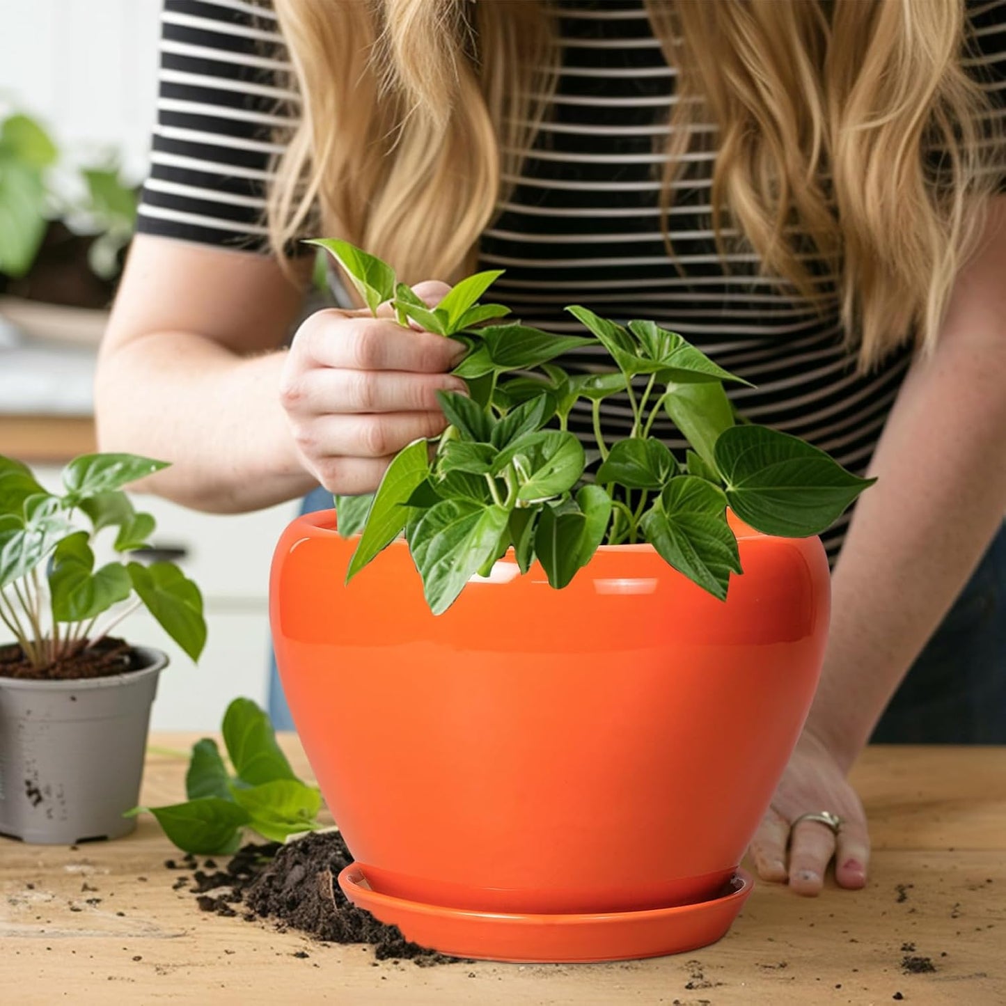 Indoor Plant Pot 8 Inch - Ceramic Plant Pot with Drainage Hole and Saucer, Glaze Decorative Modern Round Planter for Outdoor Plants, Housewarming Gifts, Office Home Garden Decor, Orange
