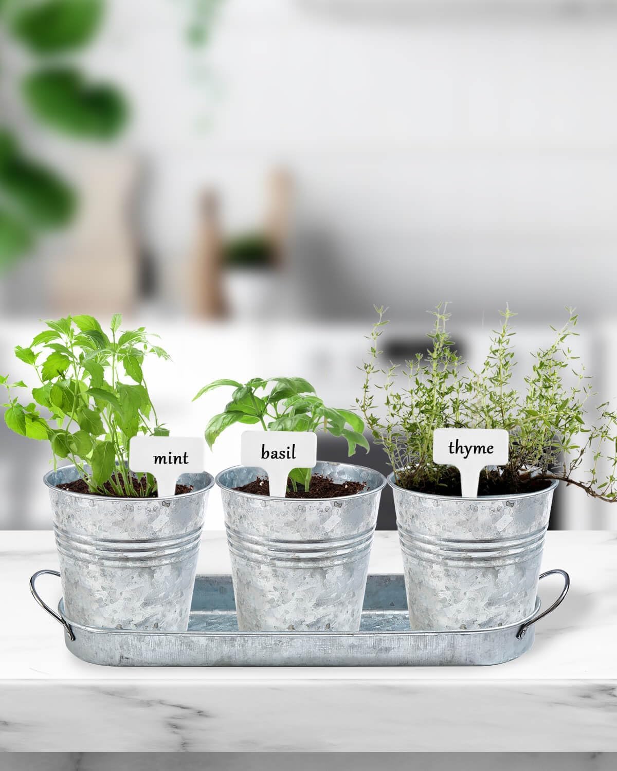vensovo Indoor Herb Planter Set - Galvanized Windowsill Garden Pots with Tray & Drainage, Set of 3 Metal Window Planters for Kitchen & Outdoor Use, Silver