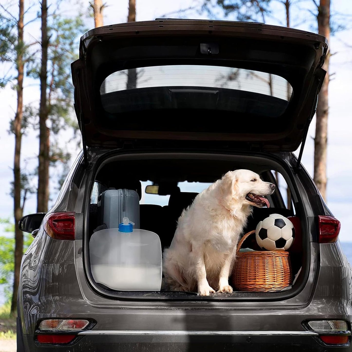 Collapsible Water Container with Spigot, 2×2.6 Gallon BPA Free Camping Water Storage Jug Carrier for Outdoors Hiking Backpack RV&Emergency, Survival Water Canteen-Portable Foldable Transparent