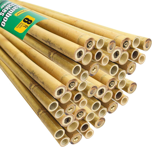 1" D 8 Feet Bamboo Stakes 50 Pack, Thicker Heavy-Duty Plant Stakes, Natural Garden Stakes for Bean, Tomato, Bean, Flowers,Trees Potted and Climbing Plant Support