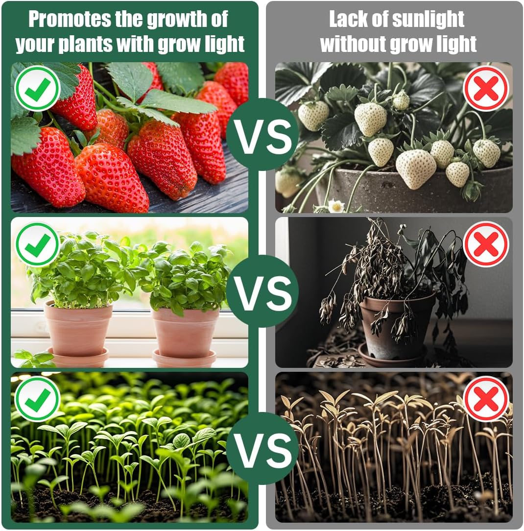 Tabletop 5-Tier Seed Starting Kit Germination Tray - Plant Stand with Grow Lights Full Spectrum Sunlike Plant Light for Indoor Plants, Greenhouse, Succulents, Seedlings Gardening