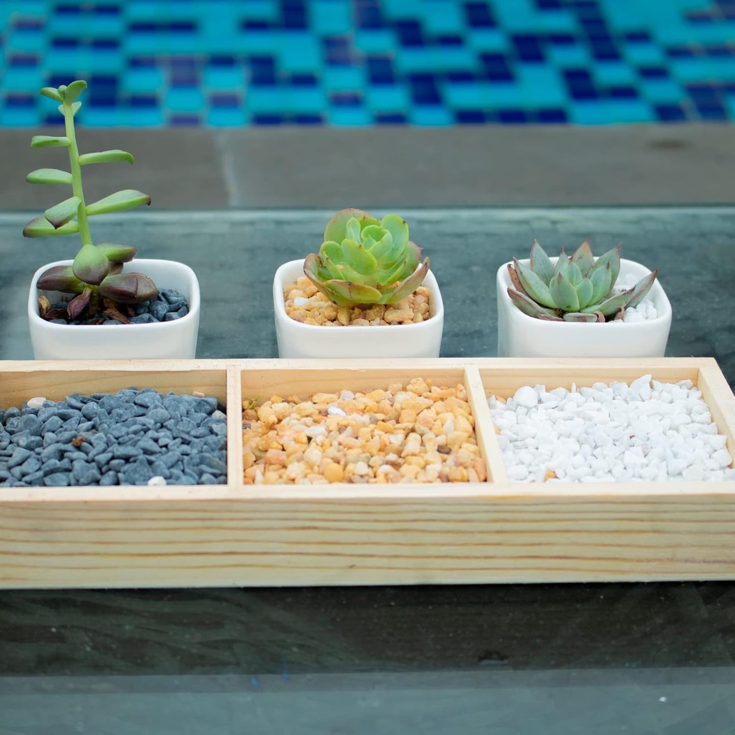 7lb White Cactus Pea Gravel Rocks,1/4 Inch Pebbles for Indoor Plants, Natural Succulent Rock and River Rocks Decorative for Aquariums, Vases, Outdoor Gardening, Top Dressing for Potted Plants