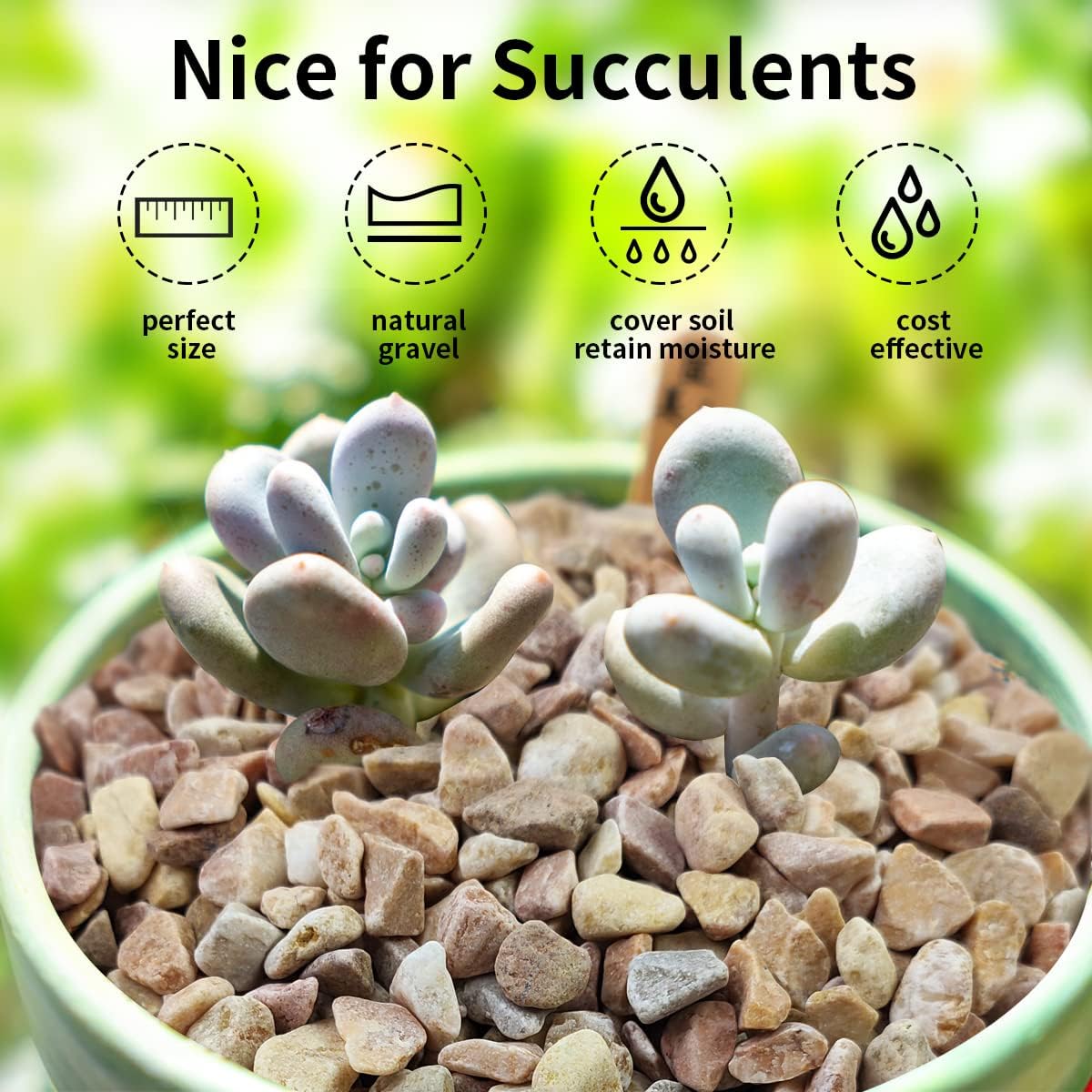 2 lbs Pea Gravel - 3/8 Inch Small Pebbles Rocks for Indoor Plants, Succulents, Cactus, Fish Tank, Terrarium, Landscaping and Decorative Stones(32 oz, 6-9 mm)