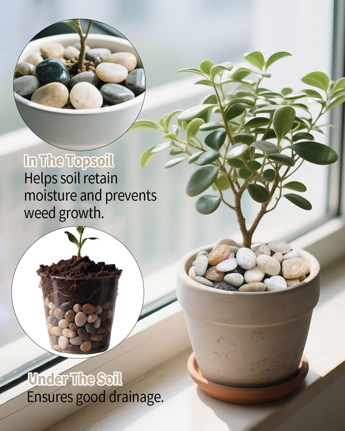 2.5lb Natural Polished River Rocks - 5/16-5/8 Inch Decorative Stones for Plants Garden Landscaping & Outdoor Decor Small Smooth Pebbles for Indoor/Outdoor