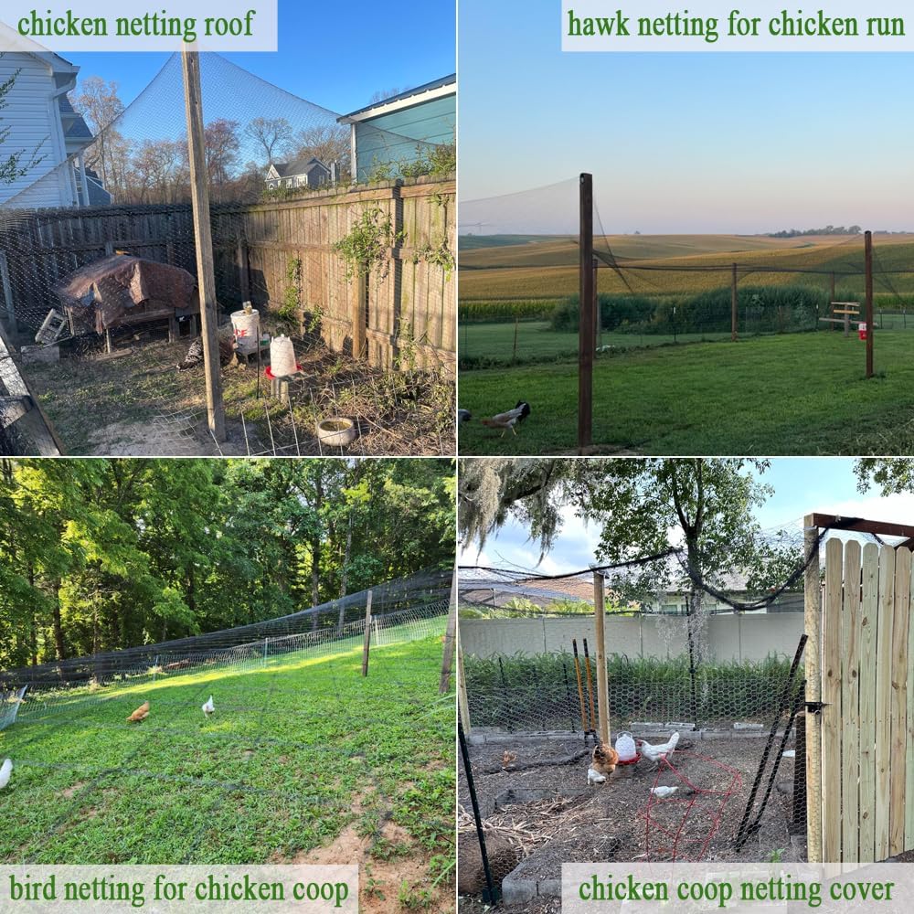 Bird Netting for Chicken Coop 25x50 Ft, 1" Mesh, Strong Woven Poultry Netting Roof Cover for Chicken Run, Heavy Duty Bird Net for Fruit Trees, Blueberry, Vegetables, Garden Protection