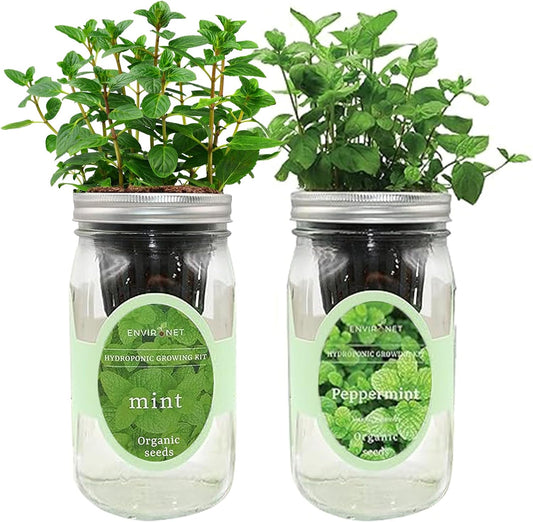 2-Pack Hydroponic Mason Jar Herb Garden Kit, Indoor Herb Garden Self-Watering Starter Kit (Mint,Peppermint)
