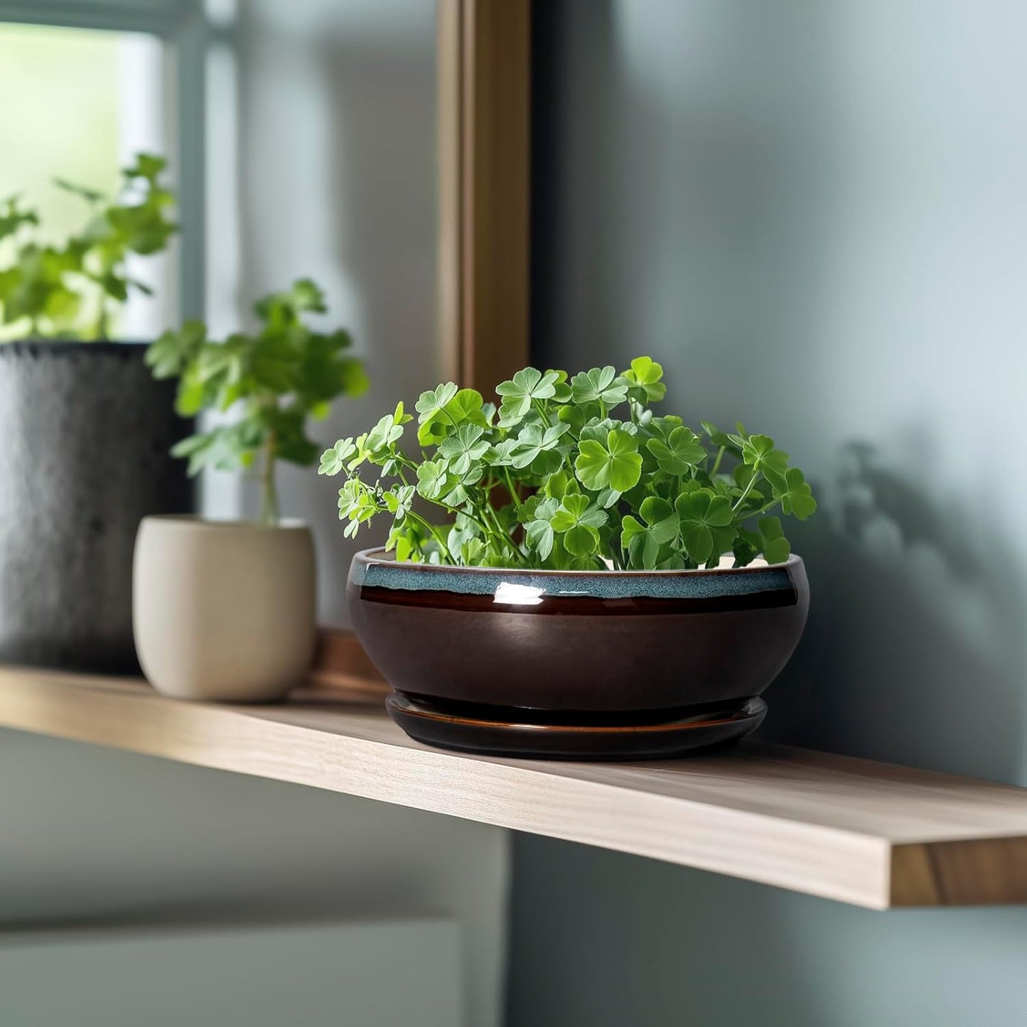 SQOWL Succulent Planters 8 Inch - Ceramic Bonsai Pots with Drainage Hole and Ceramic Saucer, Round Shallow Planter for Indoor Plant, Bowl Planter Outdoor, Desk Decor, Gift for Plant Lover, Blue-Brown