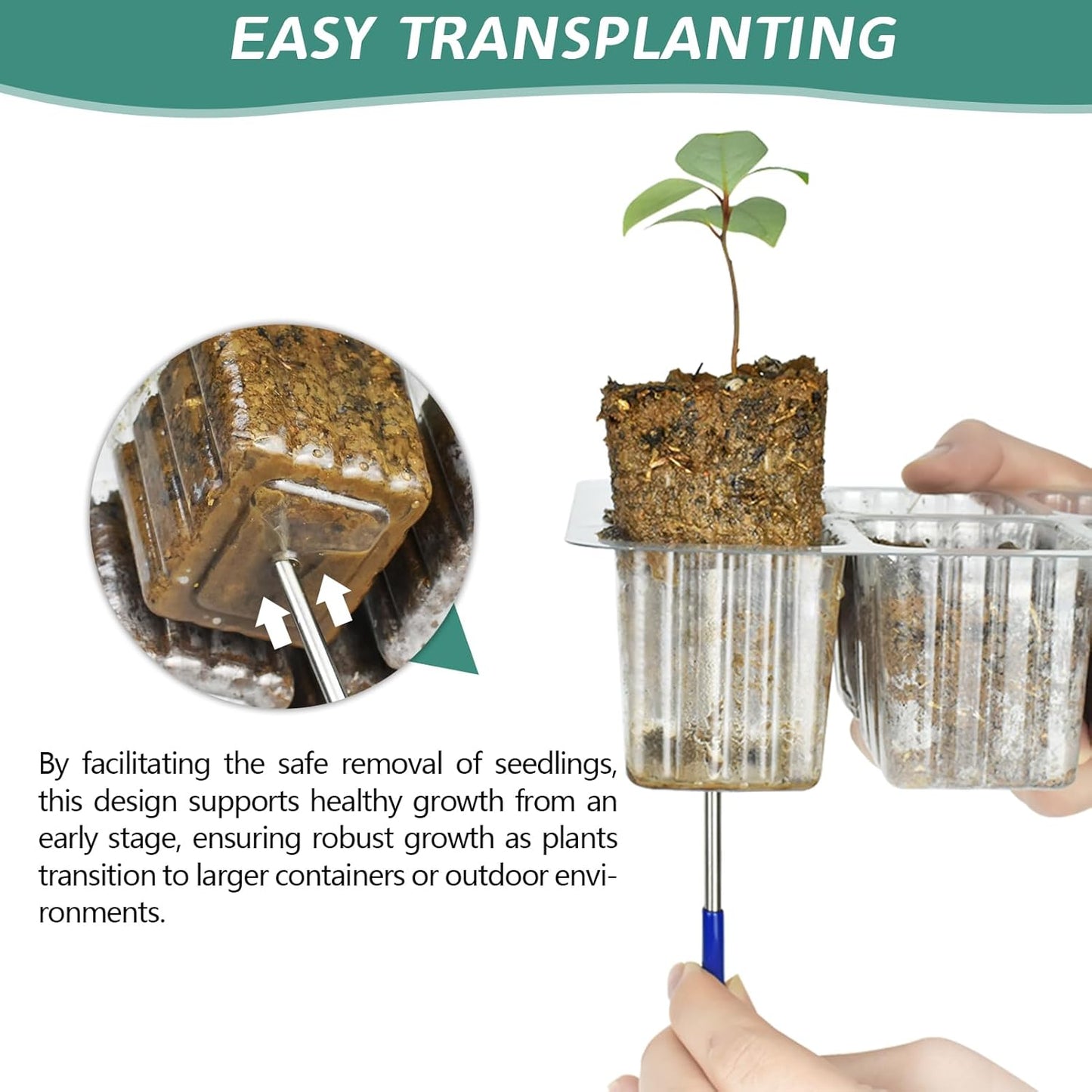 Artcome 5-Pack Seed Starter Tray - 6 Cells Each with Push-Up Ejector - Seed Starter Kit for Rapid Growth and Healthy Seedlings at Home - 30 Cells in Total