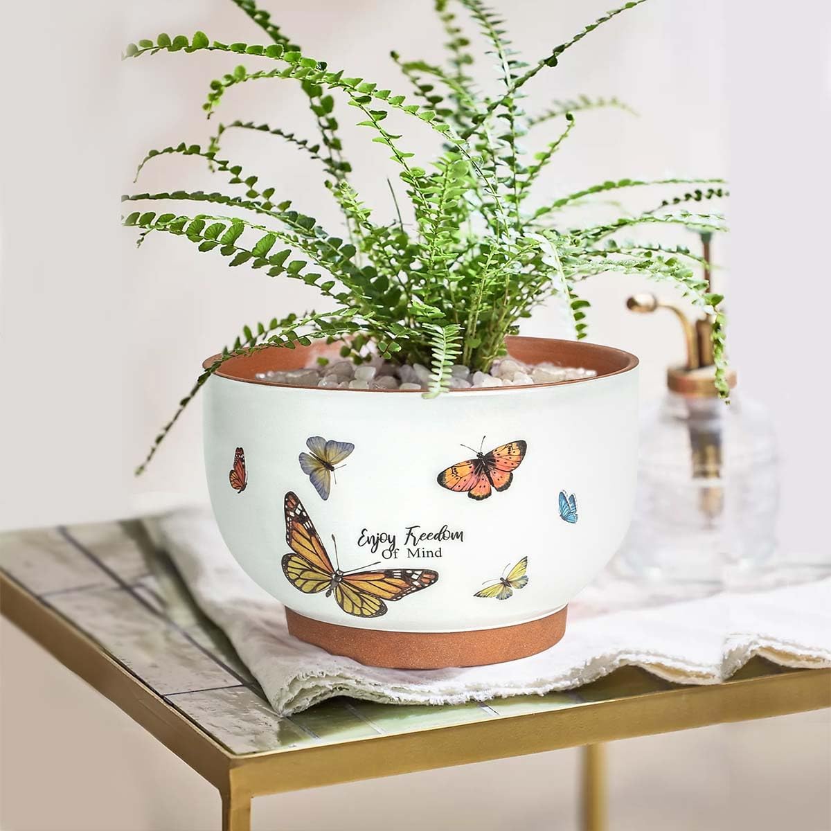 YBX 8 Inch + 6 Inch White&Terracotta Flower Pots, Succulent Ceramic Plant Pots with Drainage Holes, Terracotta Planters for Indoor Plants, with Butterfly Accents
