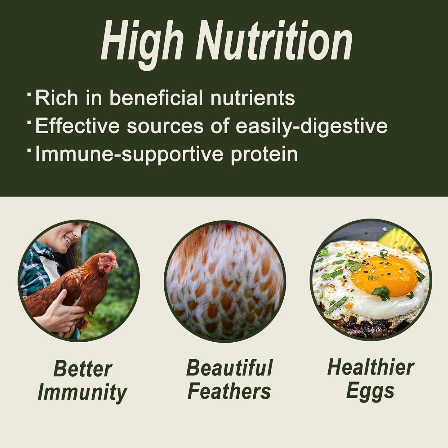 Adaman Dried Black Soldier Fly Larvae 10 LBS-100% Natural Non-GMO BSF Larvae-More Calcium Than Dried Mealworms High-Protein Chickens Treats, Food for Wild Birds, Ducks, Layer Hens