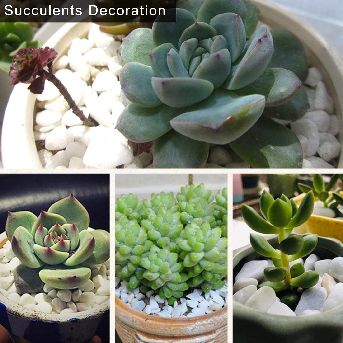 HappyFiller Polished 18 LB 1/2" White Matted Pebbles for Outdoor Garden Landscape Pave Walkway Small Rocks,Indoor Plants Succulents Cactus,Aquarium,Vase Fillers,Cultivation Hydroponic Stone,Zen