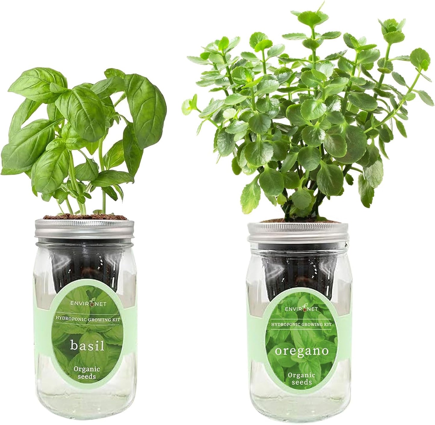 2-Pack Hydroponic Mason Jar Herb Garden Kit, Indoor Herb Garden Self-Watering Starter Kit (Basil,Oregano)