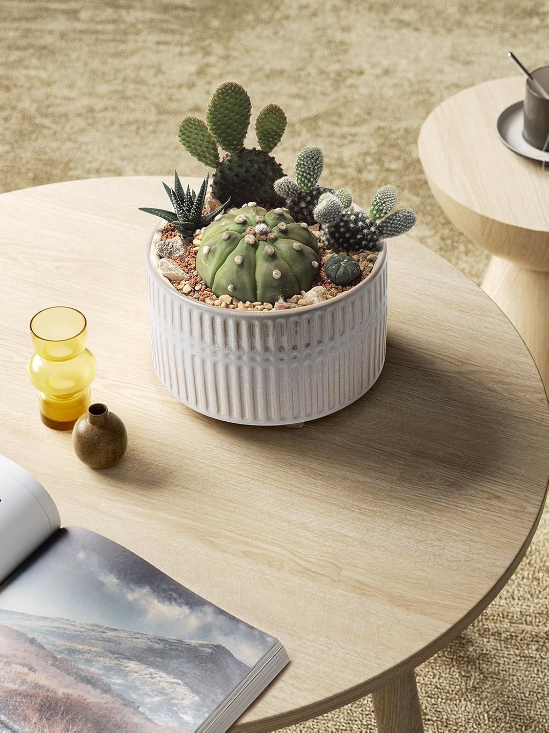 LE TAUCI Succulent Pots, 6.5+8 Inch Ceramic Indoor Plant Pot with Drainage Hole, Shallow Round Succulent Planters, Set of 2, Reactive Glaze Star White