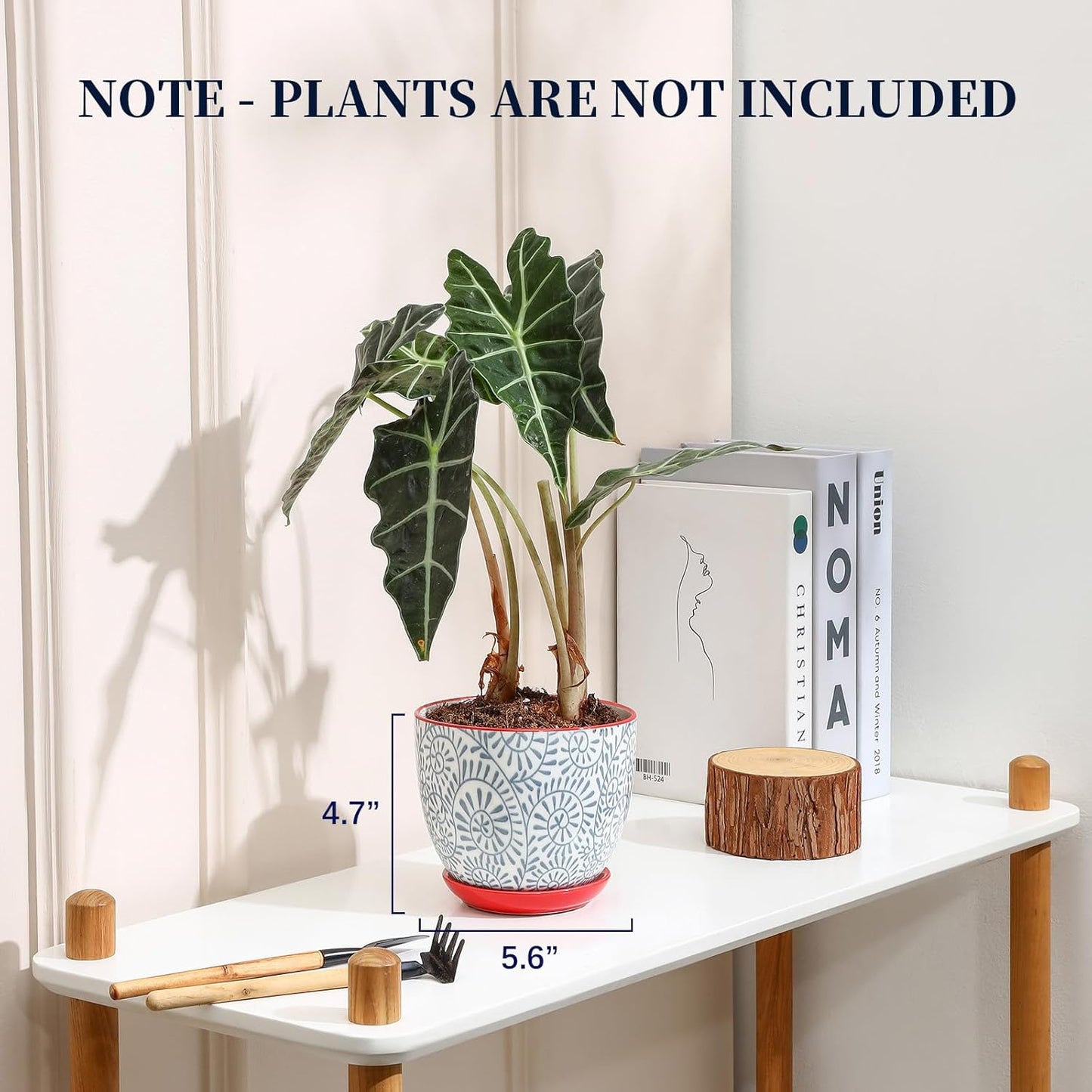 Selamica Ceramic Plant Pots, 5.6 Inch Flower Pots for Indoor Plants, Planters with Drainage Hole and Saucer, Garden Pots for Succulent, Orchid, Home Decor, Set of 4, Assorted Colors