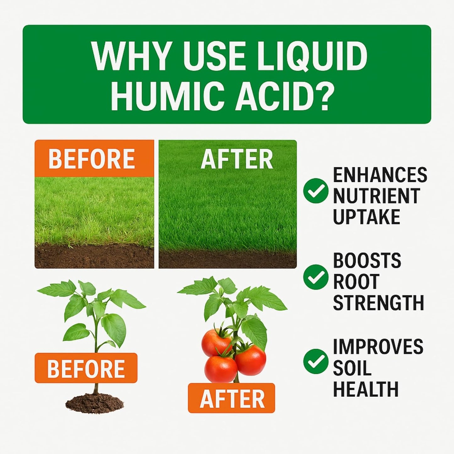 Humic Acid - Organic Liquid Humic Concentrate with Fulvic Acid - (5 Gallon Drum) - Multi-Purpose Soil Conditioner - Suitable for Gardens, Lawns, Houseplants & Trees