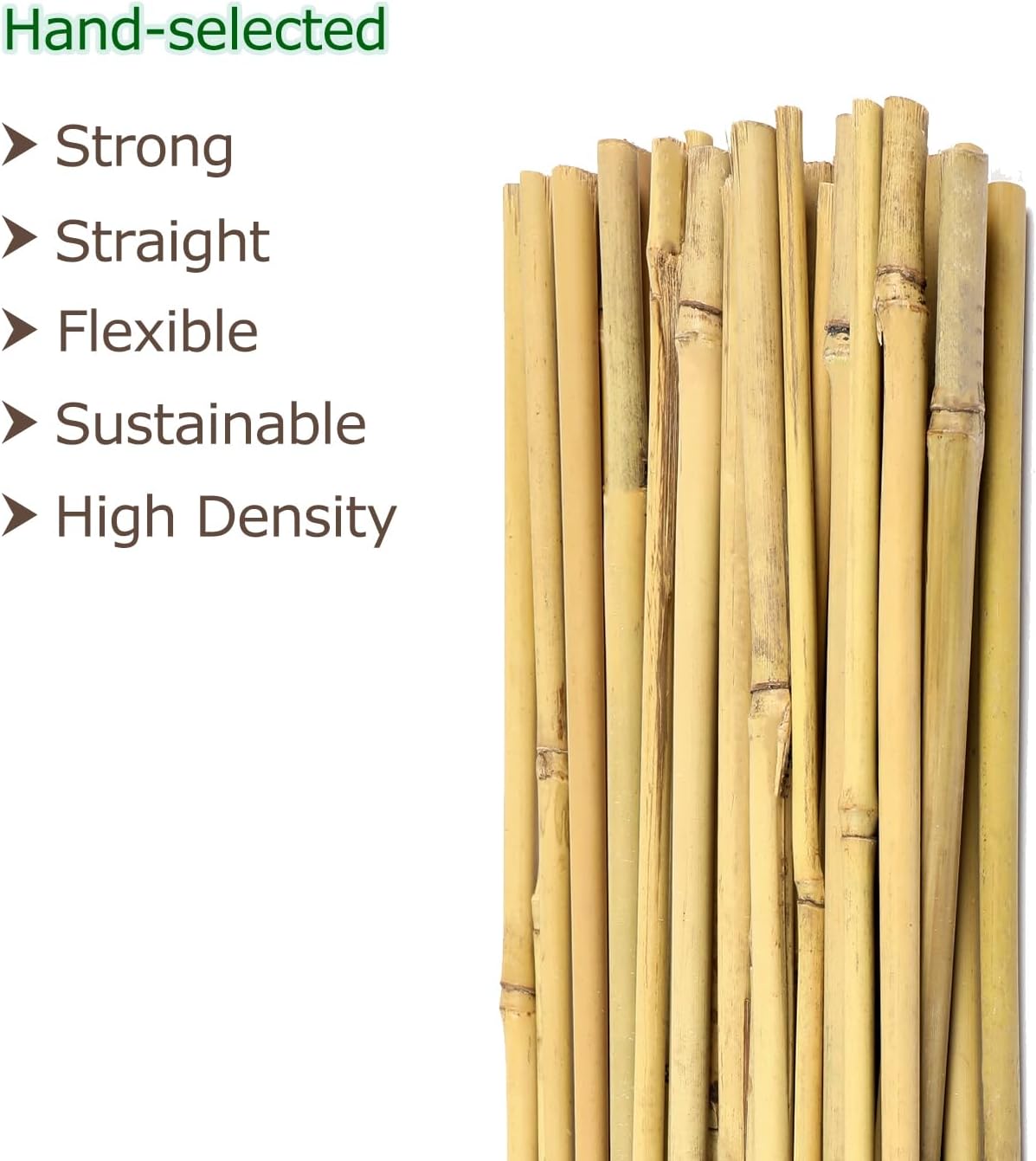Bamboo Sticks for Plants 2 Feet Bamboo Stakes for Indoor Gardening Plant Stakes Supports Potted Plants Mini Trees Garden Stakes - Pack of 30 Bamboo Poles Natural