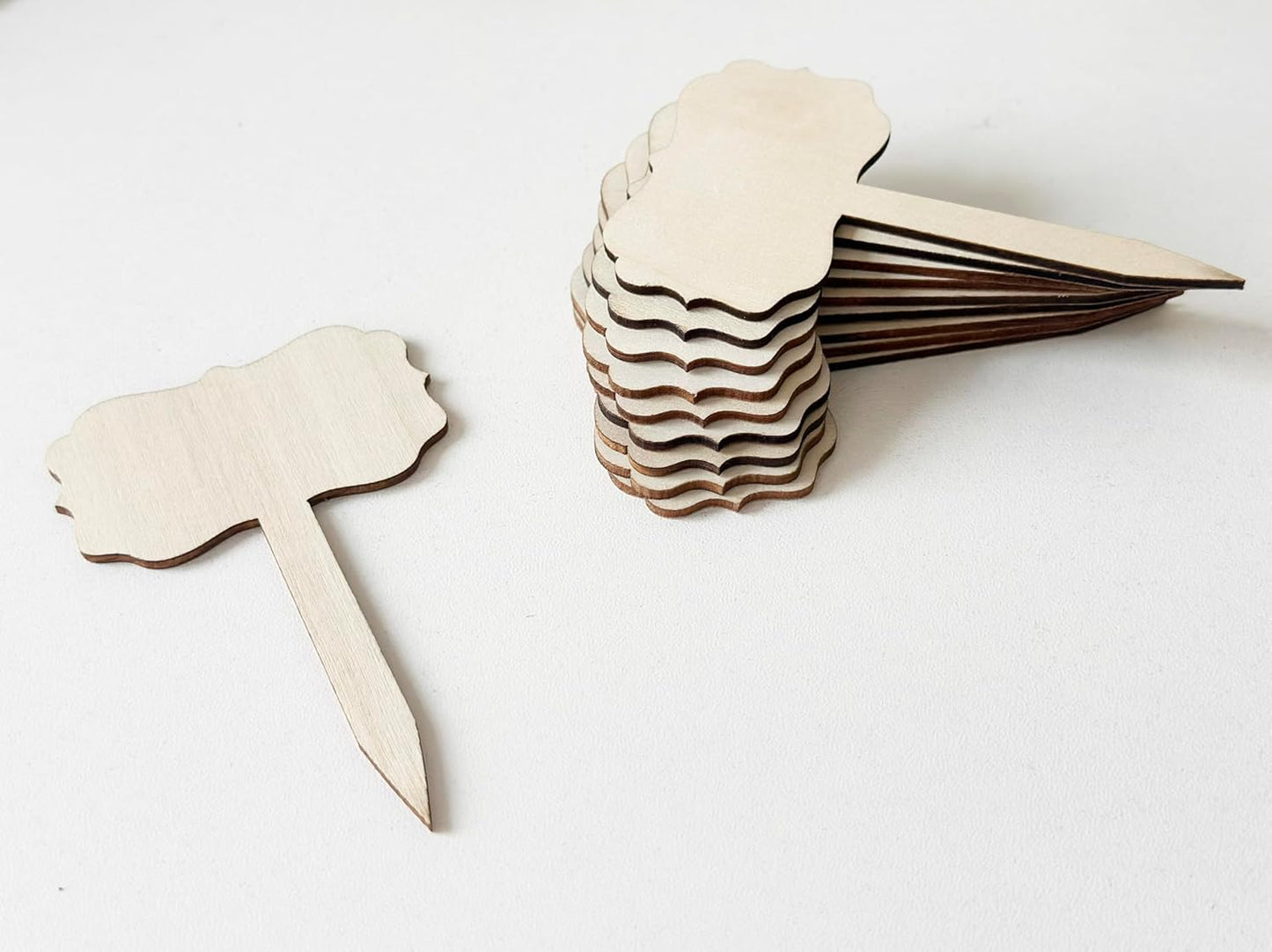 100 Pcs Wood Plant Labels, Natural Wooden Plant Marker Garden Sign Tags, T-Type Garden Markers for Succulents, Herbs, Seedlings, Potted, Flowers, Vegetables (Polygon)