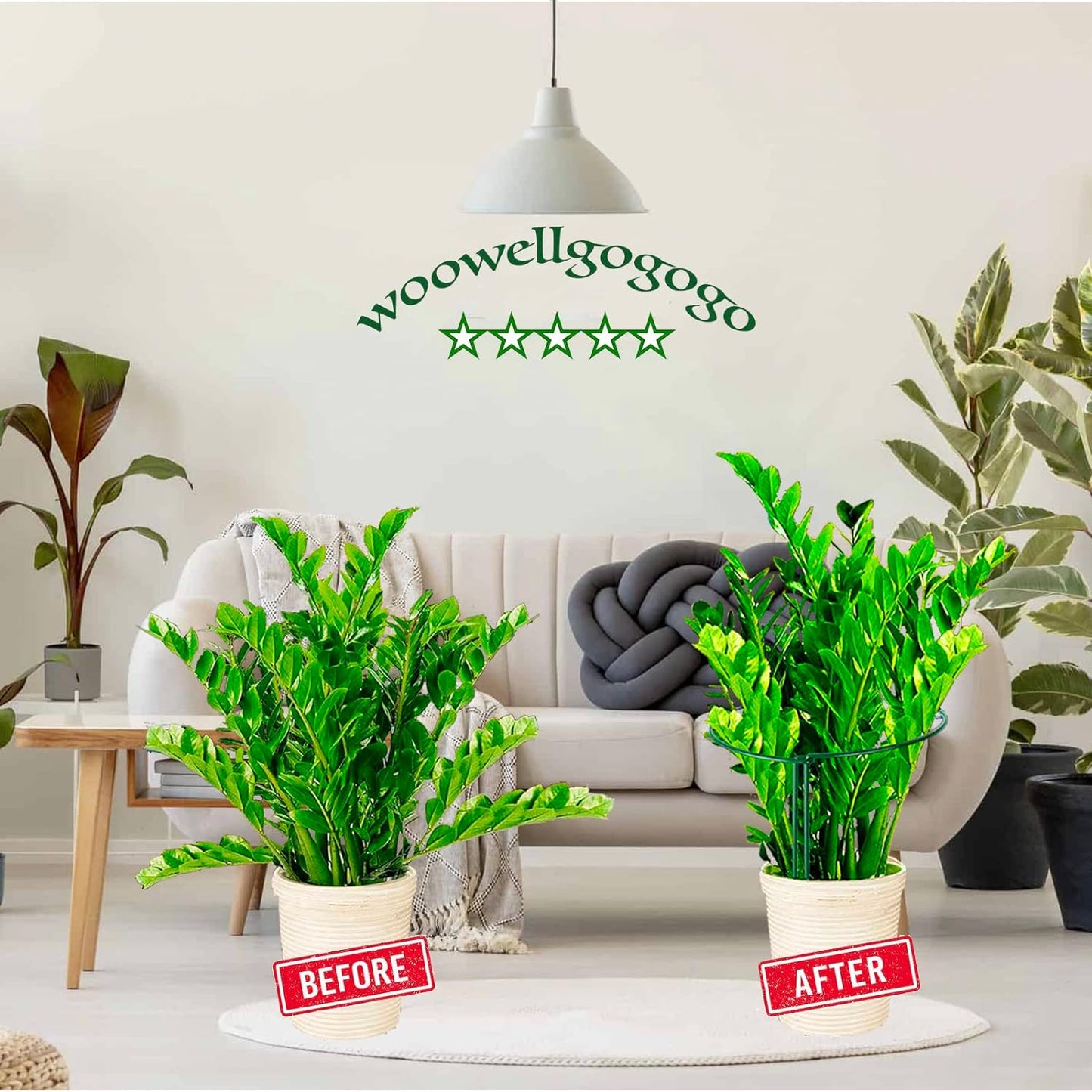 10-Pack Half Round Snake Plant Support Stakes, Plant Support Ring for Hydrangea, Peony, Dahlia and More, Rust-Proof Plant Cages for Indoor and Outdoor Potted Plants (14x8Inch)