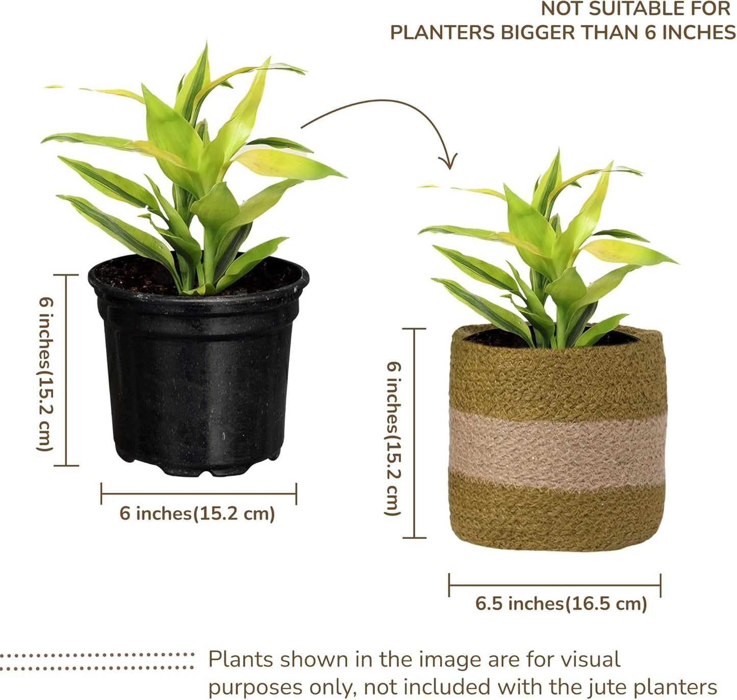 Jute Planter Basket-Woven Jute Rope Covers for Decorating Indoor/Outdoor Succulents, Small Plant Pots-Set of 2-Multi-Purpose Storage Bins 6.5 Inches - Modern Style Décor- Olive & Natural