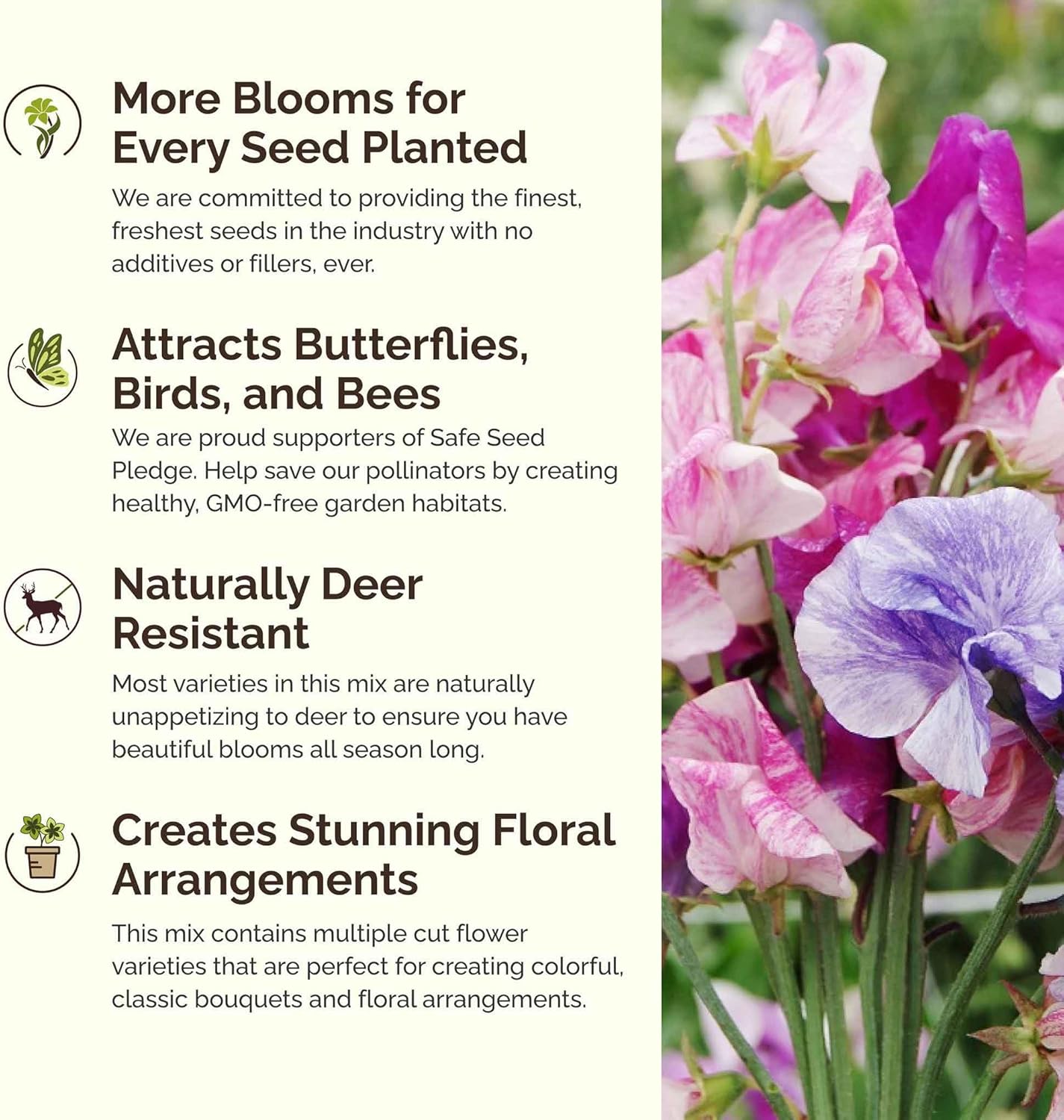 Eden Brothers Colorful Climbers Flower Mixed Seeds for Planting, 1 lb, 480,000+ Seeds with Morning Glory, Sweet Pea | Attracts Pollinators, Plant in Spring or Fall, Zones 3, 4, 5, 6, 7, 8, 9, 10