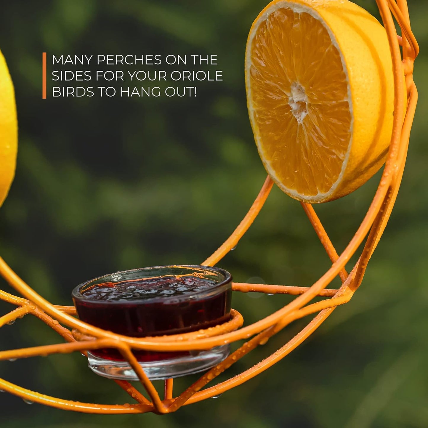 MEKKAPRO Sun Baltimore Oriole Feeder for Outdoors, Jelly and Orange Metal Bird Feeder, Unique Sun Design and Bright Color Oriole Bird Feeder, Open Top Hook, UV-Resistant Powder-Coated Steel (Single)