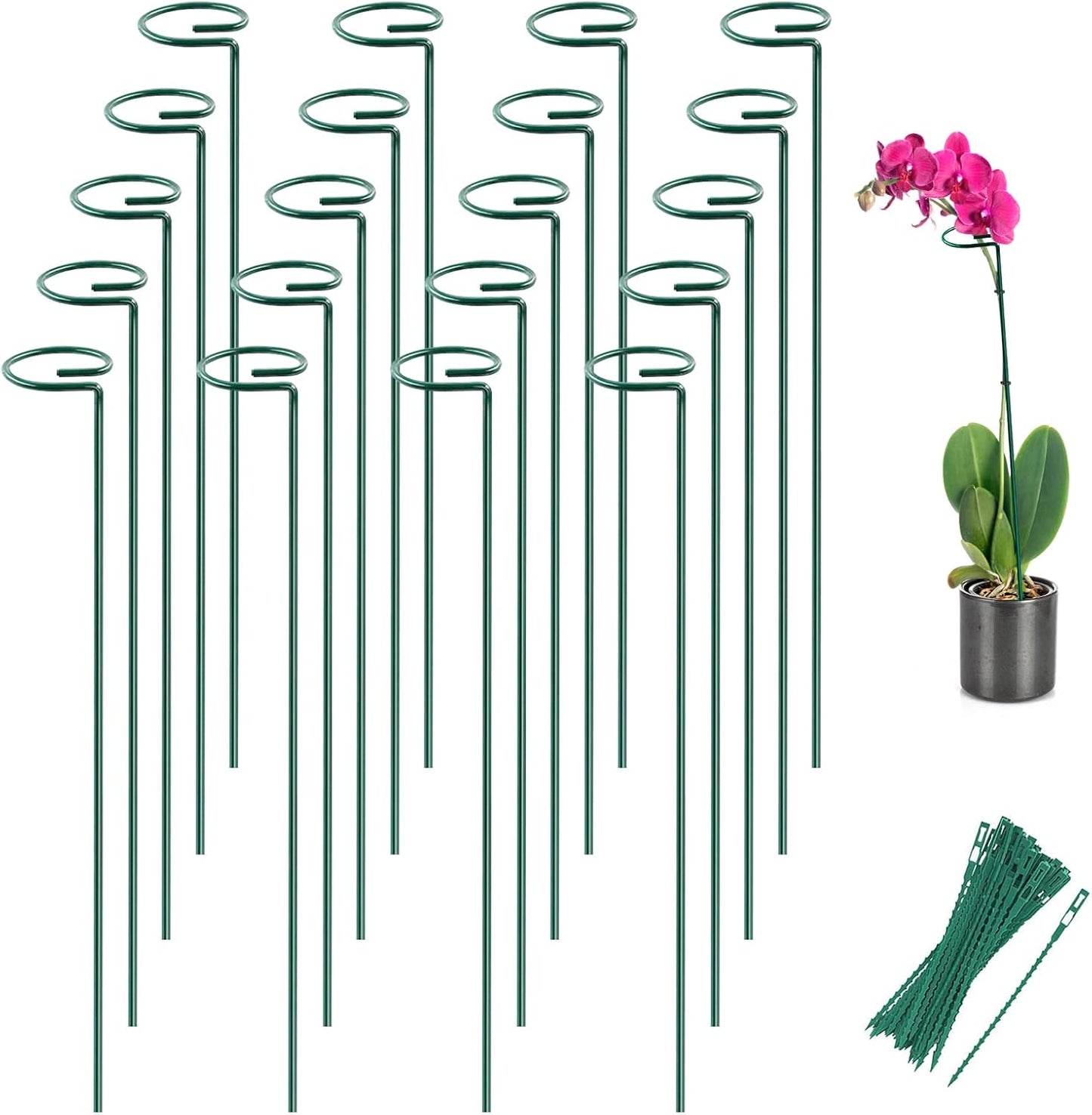 Joyhalo 20 Pack Plant Stakes, 16 Inch Plant Support Stakes, Flower Stakes with 24 Twist Ties, Garden Sticks for Plants Hibiscus, Sunflower, Red Hot Poker, Hydrangea, Tomato, Sapling Etc