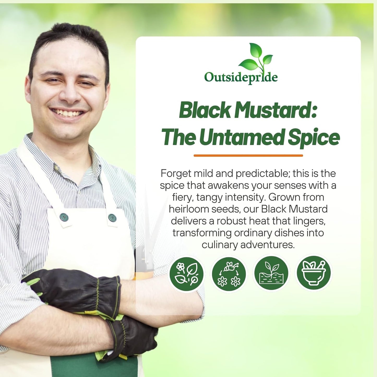 Outsidepride Black Mustard Seeds - 10000 Pcs Nutrient-Rich, Flavorful Annual Microgreen Seeds for Planting, Easy-to-Grow, Ideal for Indoor & Outdoor Cultivation, Soil & Hydroponic Systems