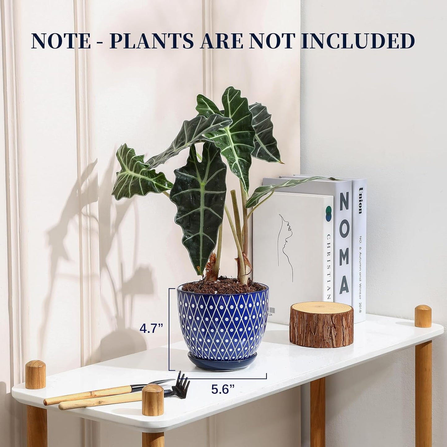 Selamica Ceramic Plant Pots,Planters with Drainage Hole and Saucer, Garden Pots for Succulent, Orchid, Home Decor, Set of 4,Blue