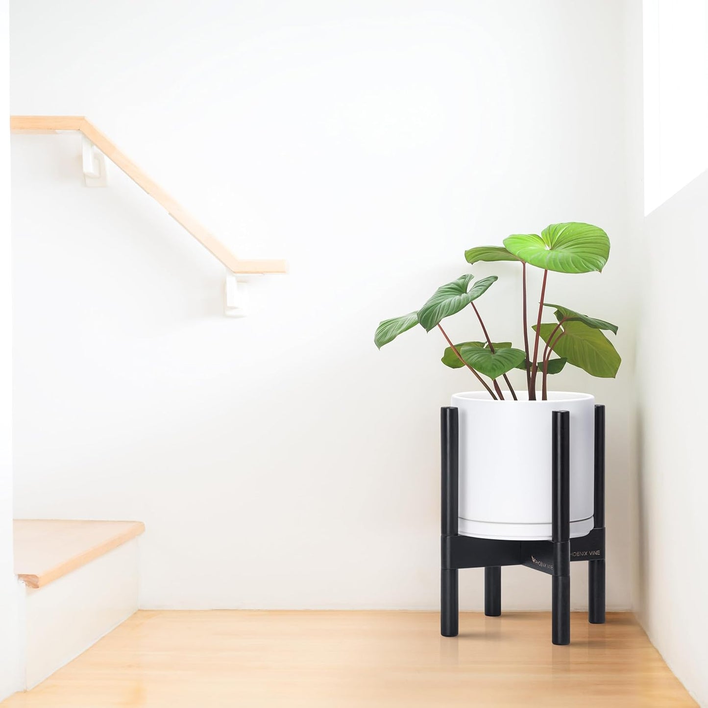 D'vine Dev Ceramic Planter with Ebony Stand - 8 Inch Modern Round Flower Pot with Wood Planter Holder, White, 55-B-M-1