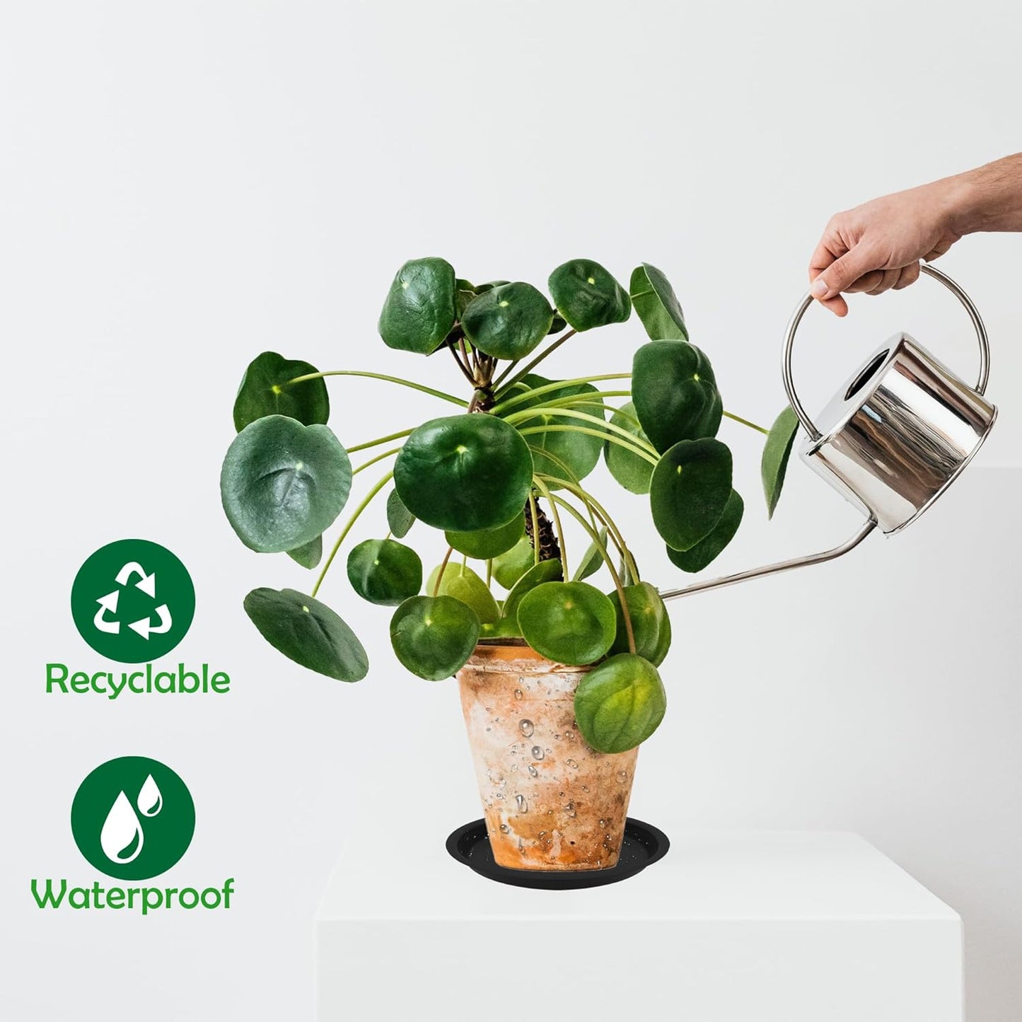 12 Pack 8 Inch Round Plant Saucers for Less 6.8 Inch Pot Indoors Outdoors Plant Trays for Pots Planter Saucer Plastic Plant Drip Tray Planter Water Tray for Potted Plants(Black, 8"(12pcs))