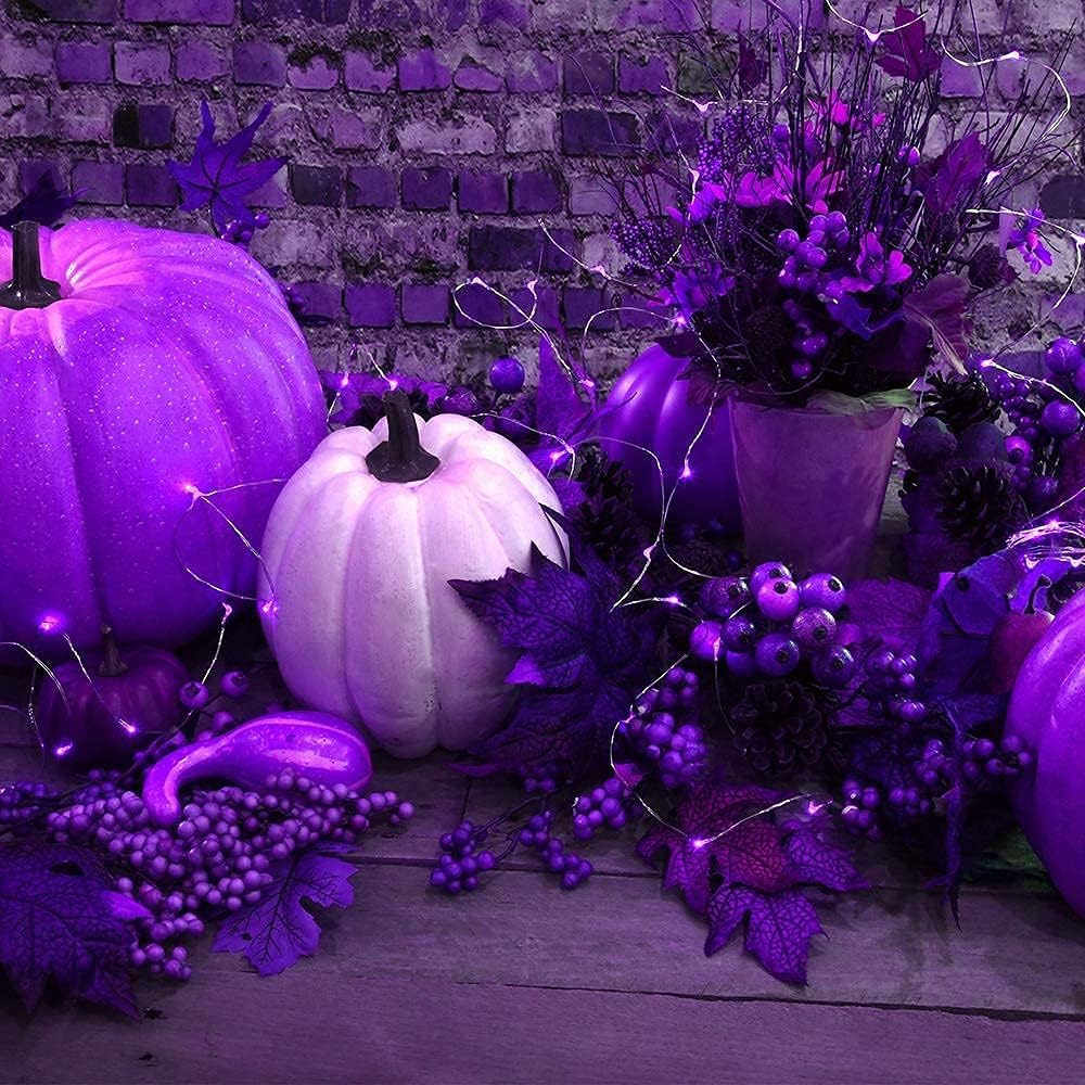 2 Pack Solar Powered Fairy String Lights Outdoor Waterproof 8 Modes Twinkle Christmas Decorations Lights, Each 33ft-100LED, 40ft-120LED, 66ft-200LED, 80ft-240LED, (Purple, 66)