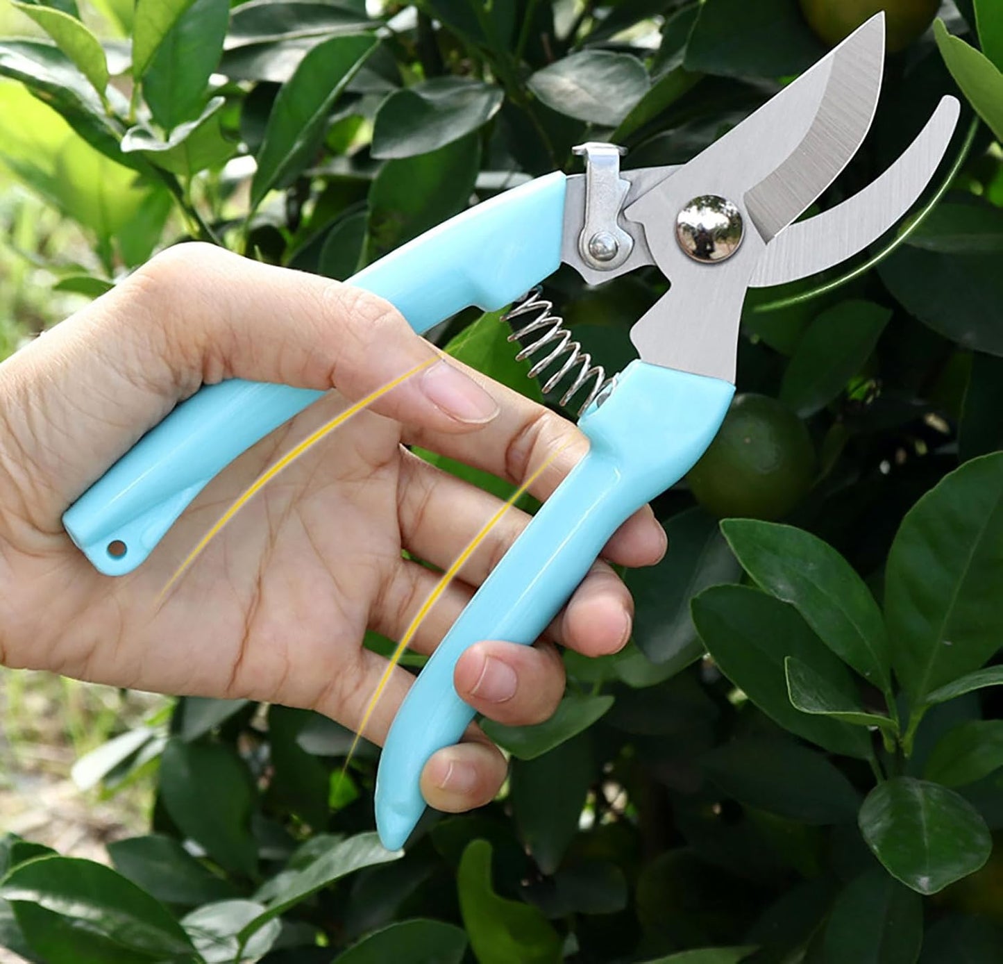 Blue Garden Flower Shears Pruning Shears 6.9 inches Scissors Heavy Duty Plant Scissors for Cutting Flowers, Trimming Plants, Bonsai, Fruits Picking (Blue Handle)