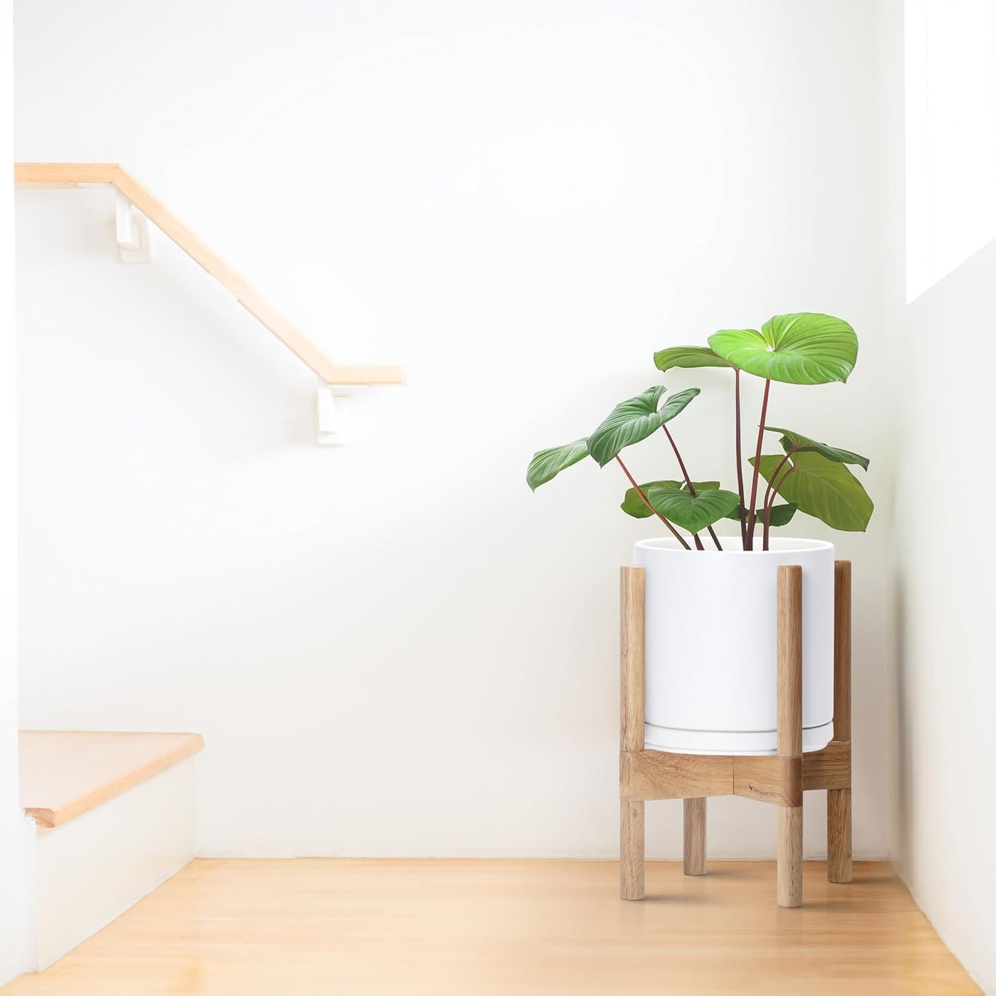 D'vine Dev Ceramic Planter with Natural Stand - 8 Inch Modern Round Flower Pot with Wood Planter Holder, White, 55-B-N-1